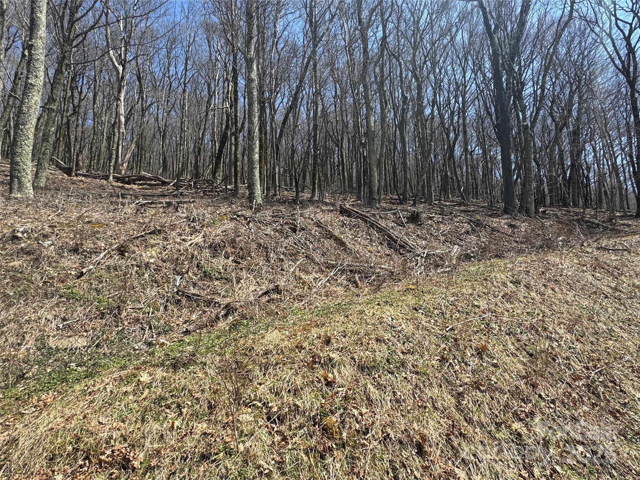 Private Location W/ View Potential - 244 & 245 Grouse Thicket Lane, Mars Hill