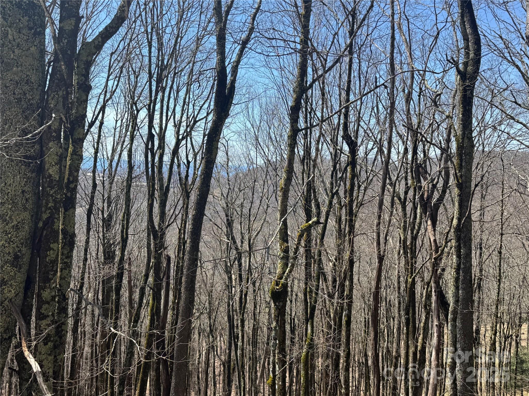 Private Location W/ View Potential - 244 & 245 Grouse Thicket Lane, Mars Hill