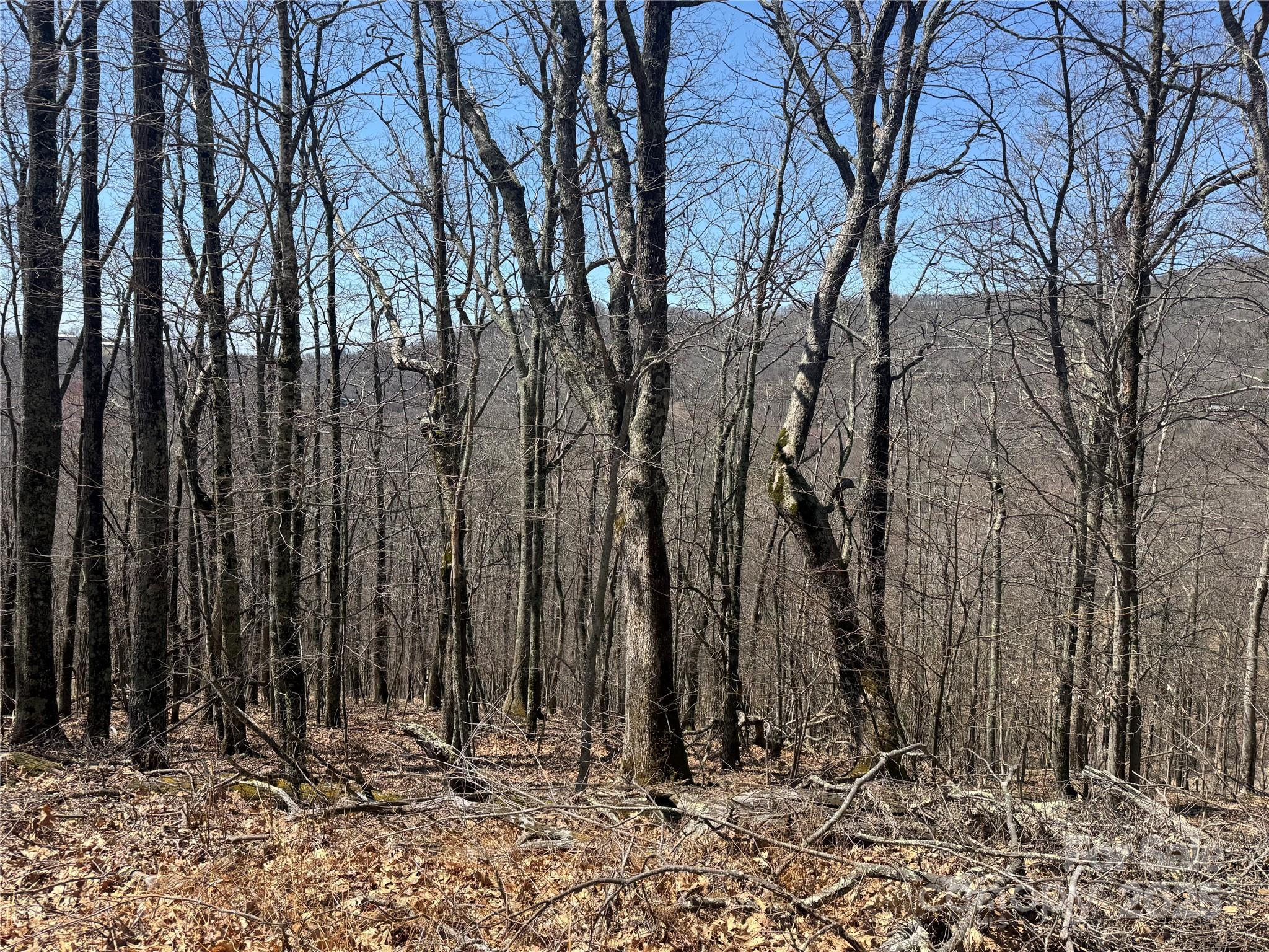 Nice Building Lots, Private Location - 334-335-336 Hamlin Lane, Mars Hill