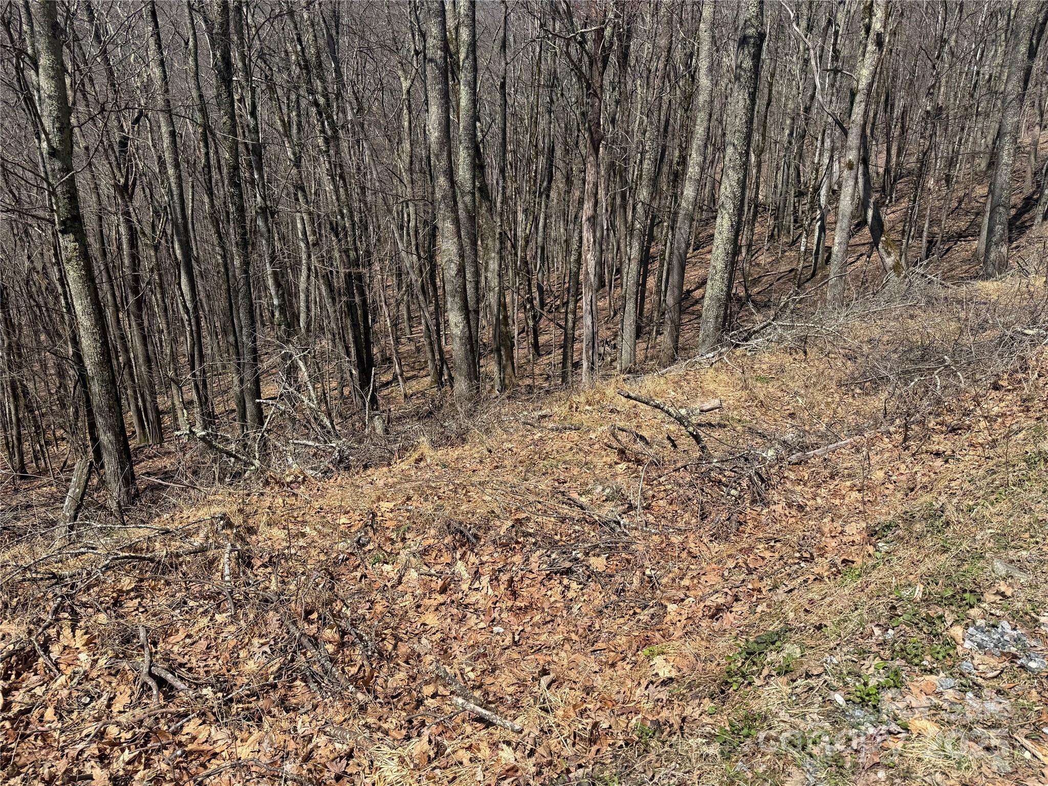 Nice Building Lots, Private Location - 334-335-336 Hamlin Lane, Mars Hill