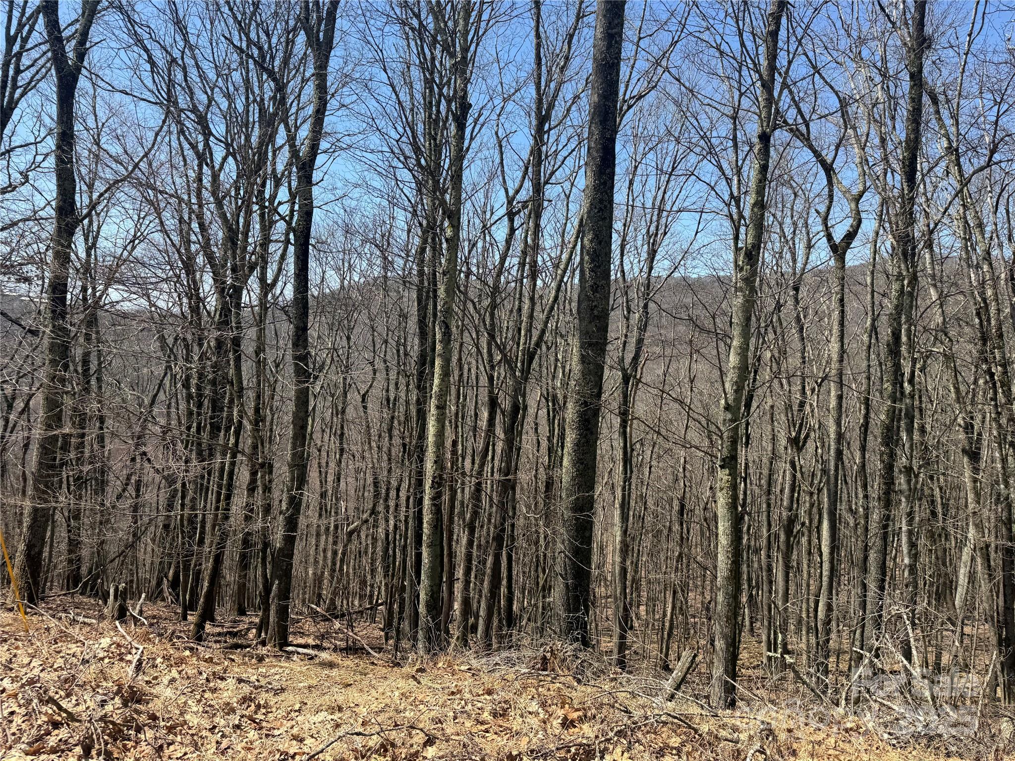 Nice Building Lots, Private Location - 334-335-336 Hamlin Lane, Mars Hill
