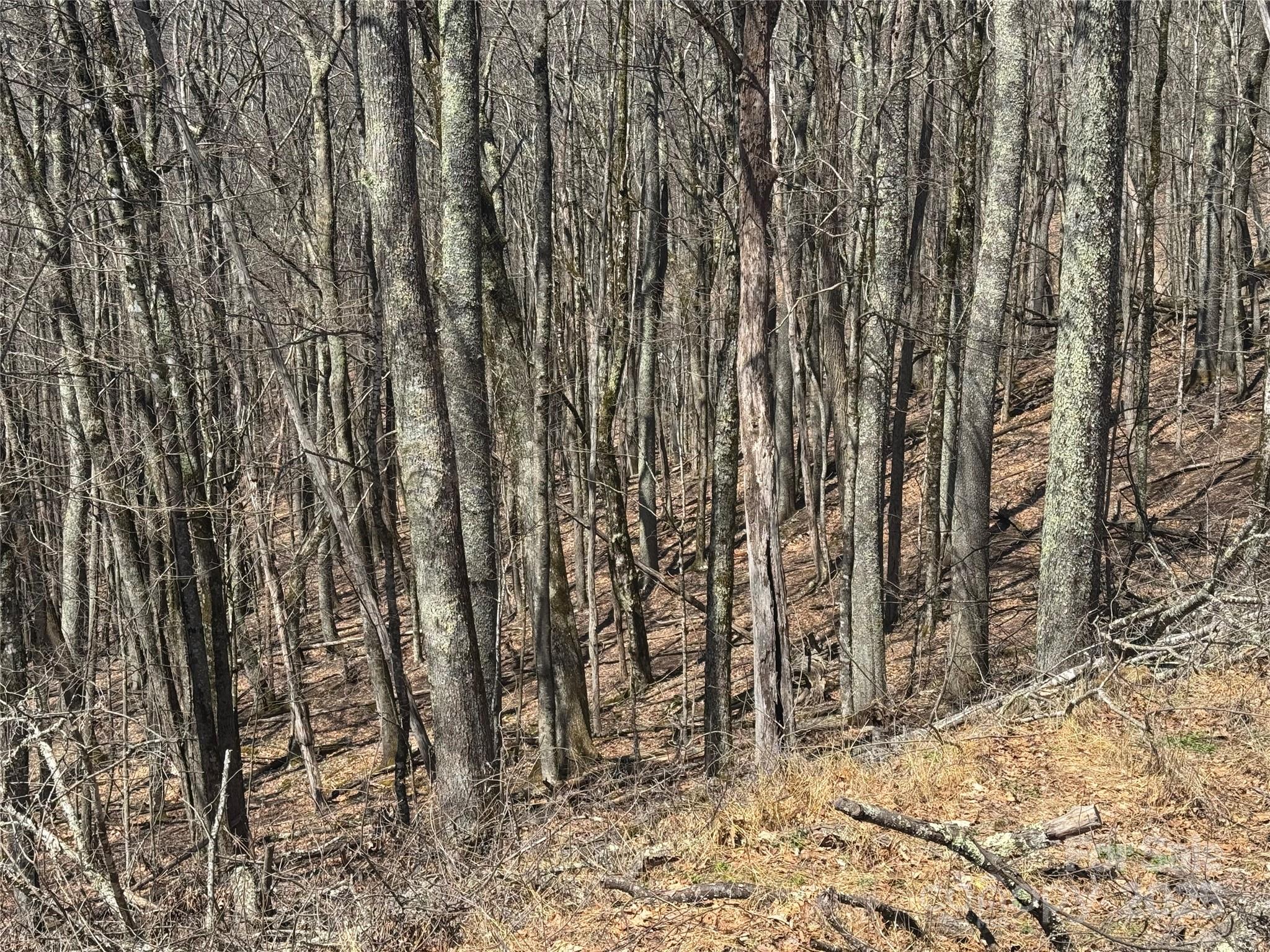 Nice Building Lots, Private Location - 334-335-336 Hamlin Lane, Mars Hill