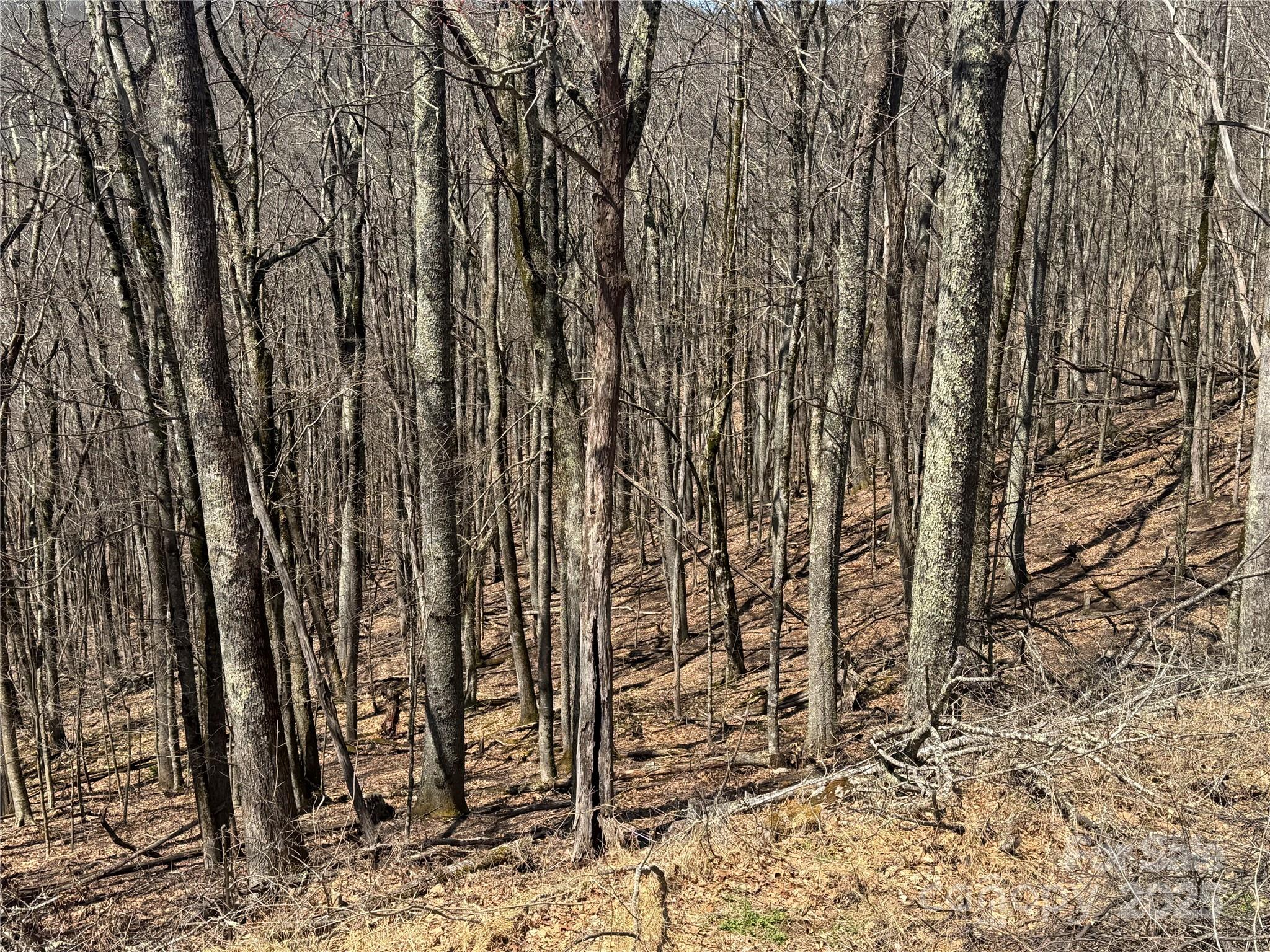 Nice Building Lots, Private Location - 334-335-336 Hamlin Lane, Mars Hill