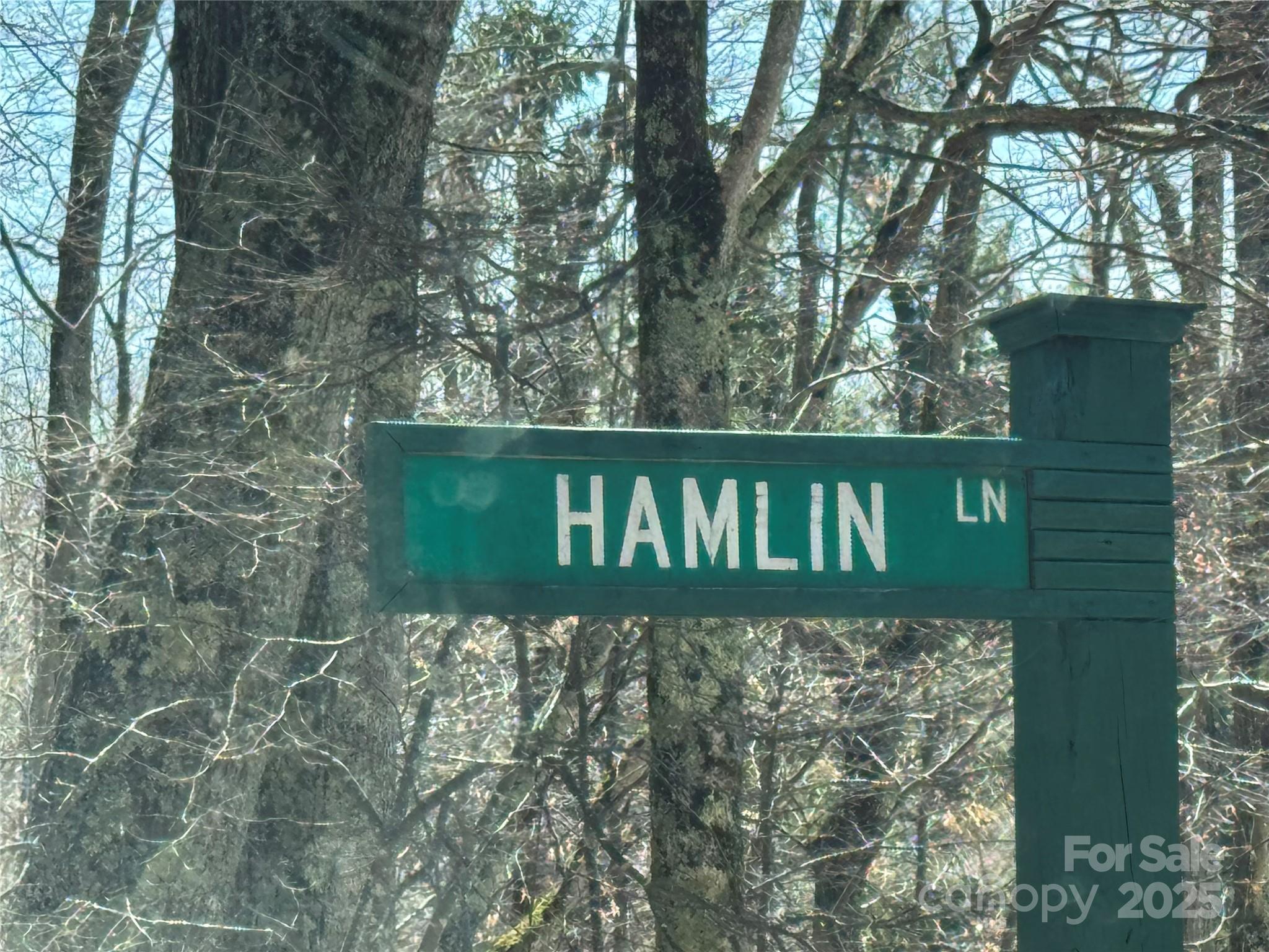 Lot at 334-335-336 Hamlin Lane, Mars Hill, photo 10 of 28