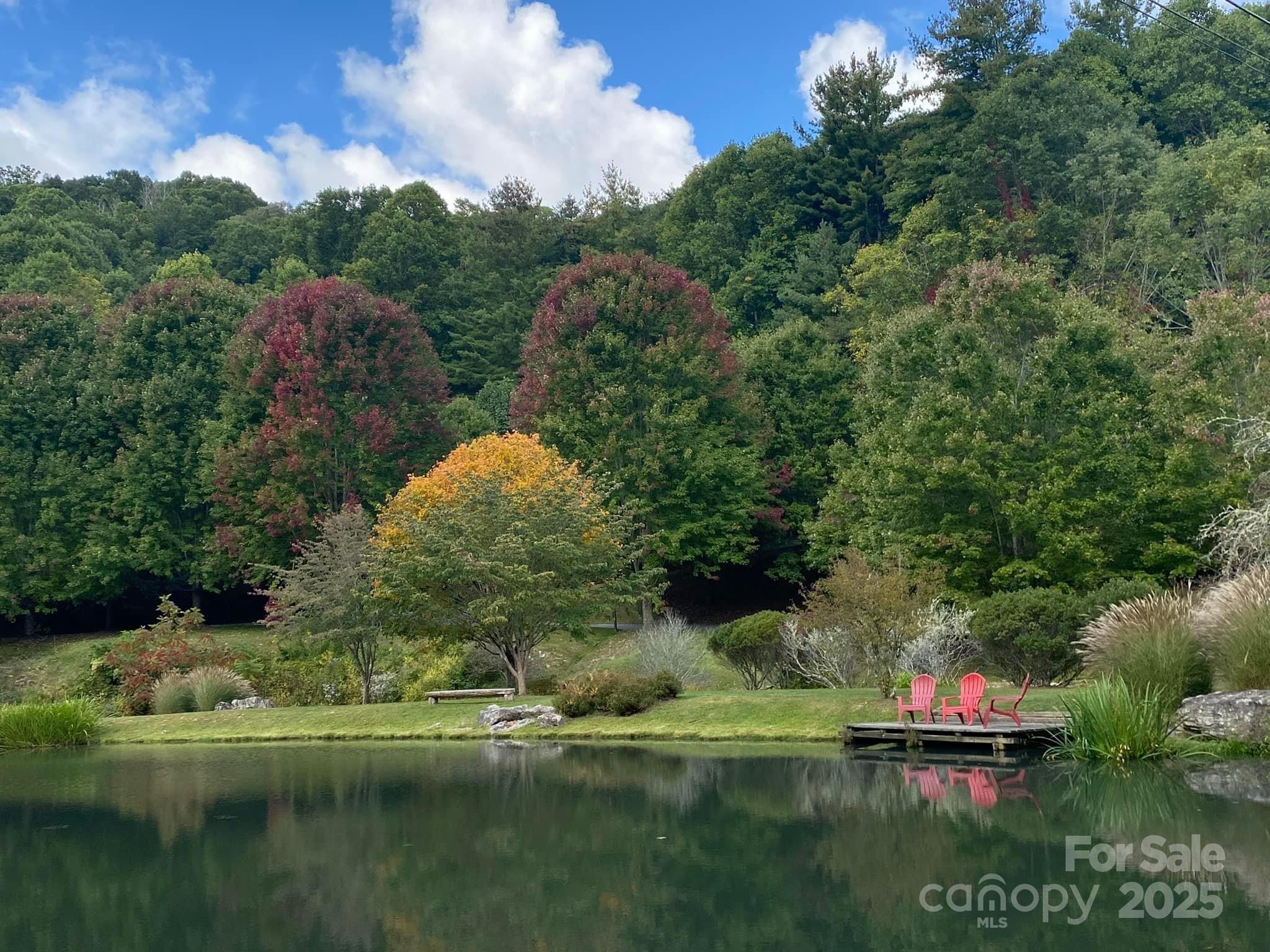 WL VC Fishing Pond - 334-335-336 Hamlin Lane, Mars Hill