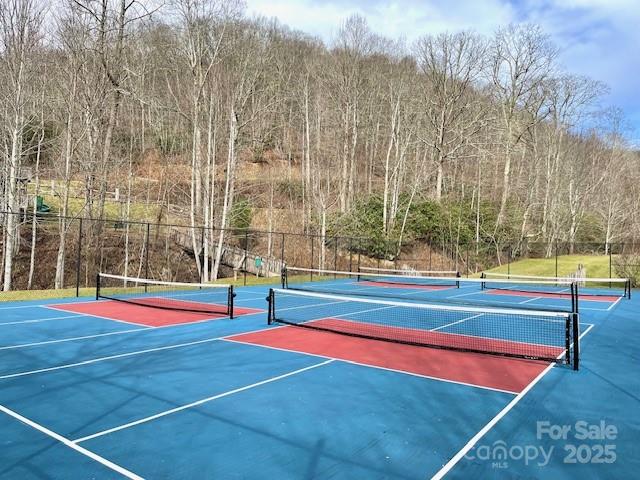 WL VC Pickle Ball Courts - 334-335-336 Hamlin Lane, Mars Hill