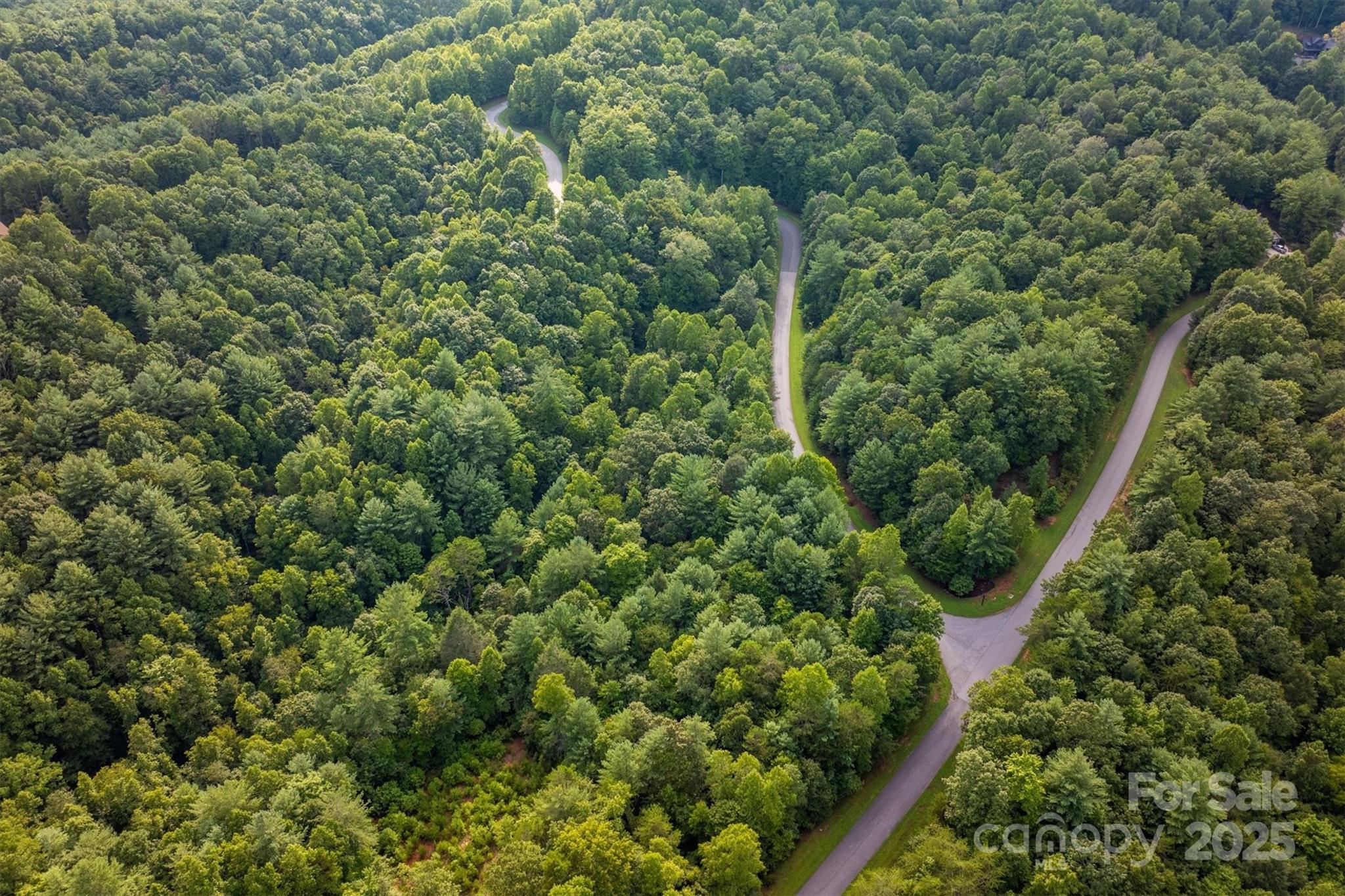 Lot at 5 Round Mountain Parkway, Lenoir, photo 4 of 40