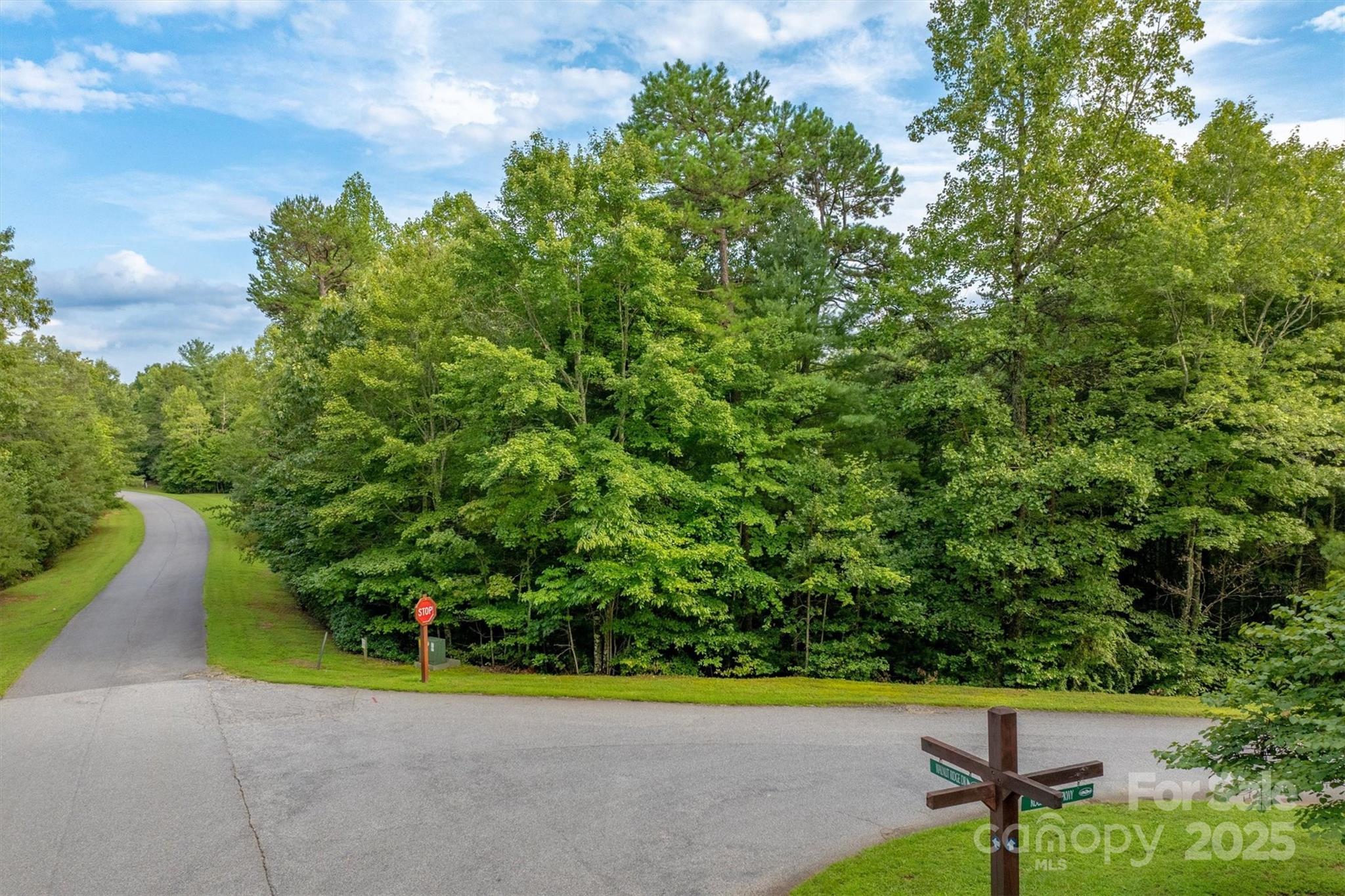 Lot at 5 Round Mountain Parkway, Lenoir, photo 6 of 40