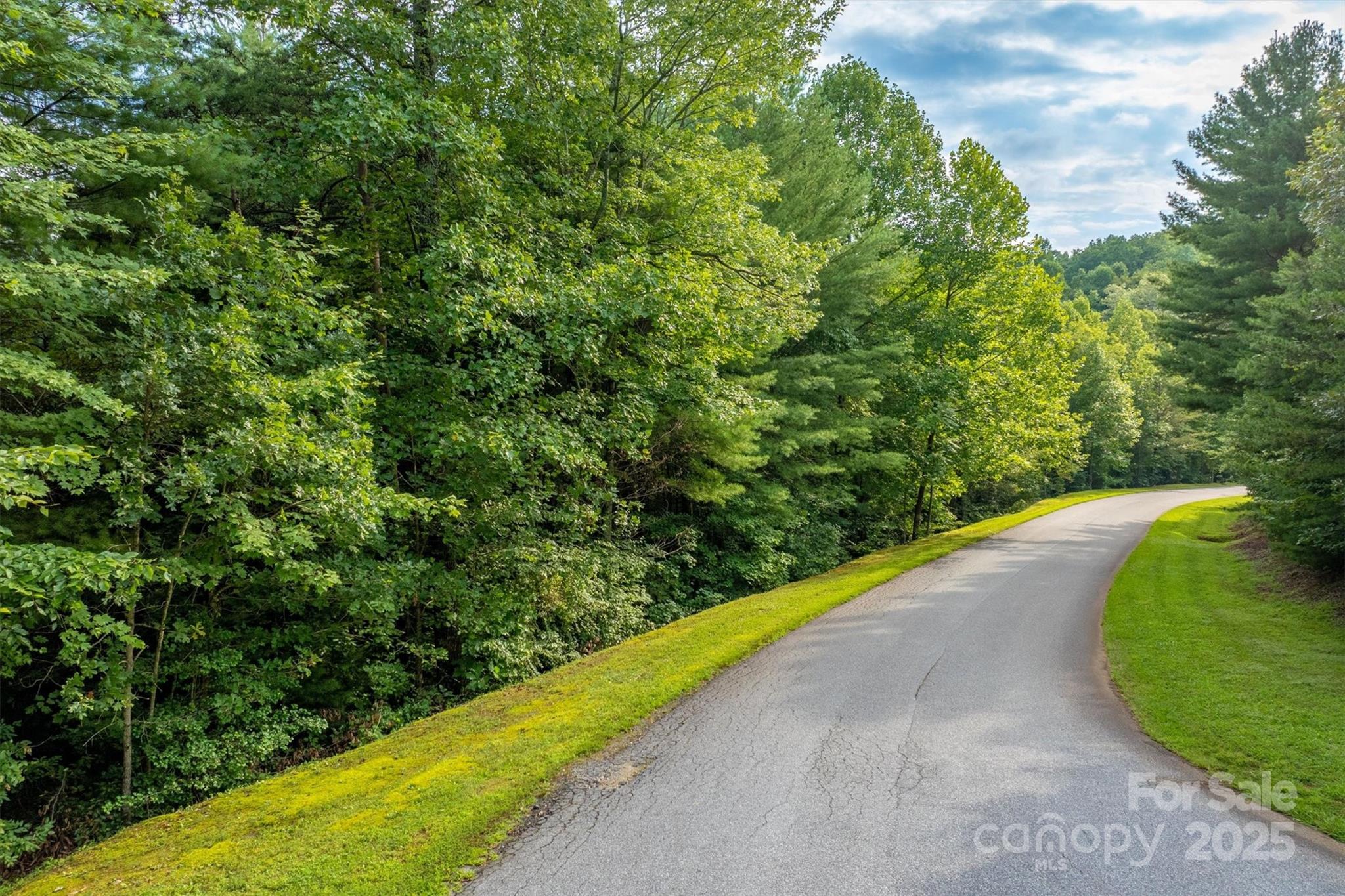 Lot at 5 Round Mountain Parkway, Lenoir, photo 7 of 40