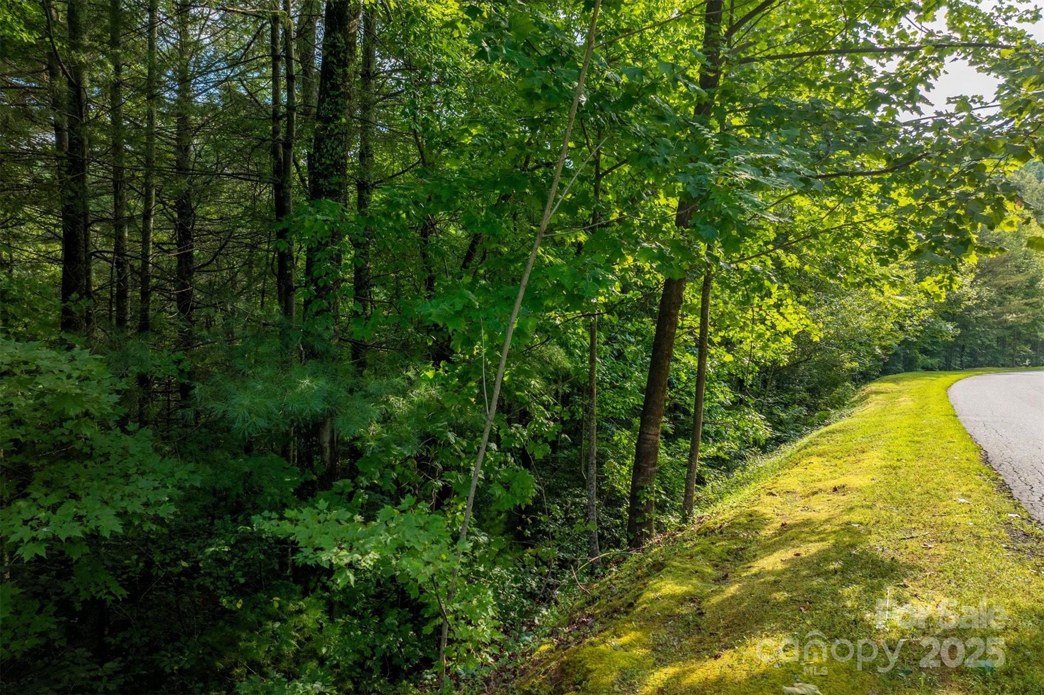 Lot at 5 Round Mountain Parkway, Lenoir, photo 8 of 40