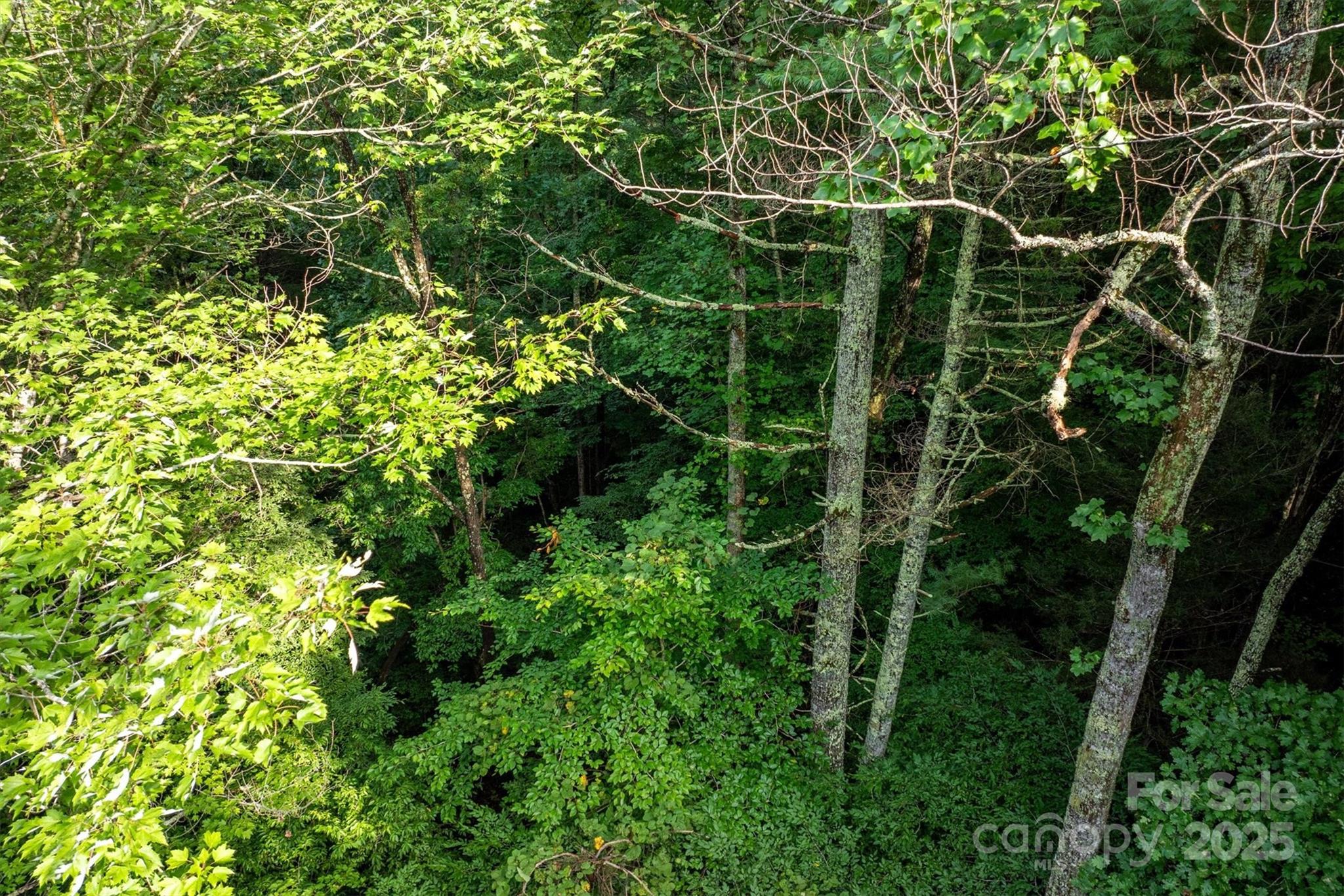 Lot at 5 Round Mountain Parkway, Lenoir, photo 9 of 40