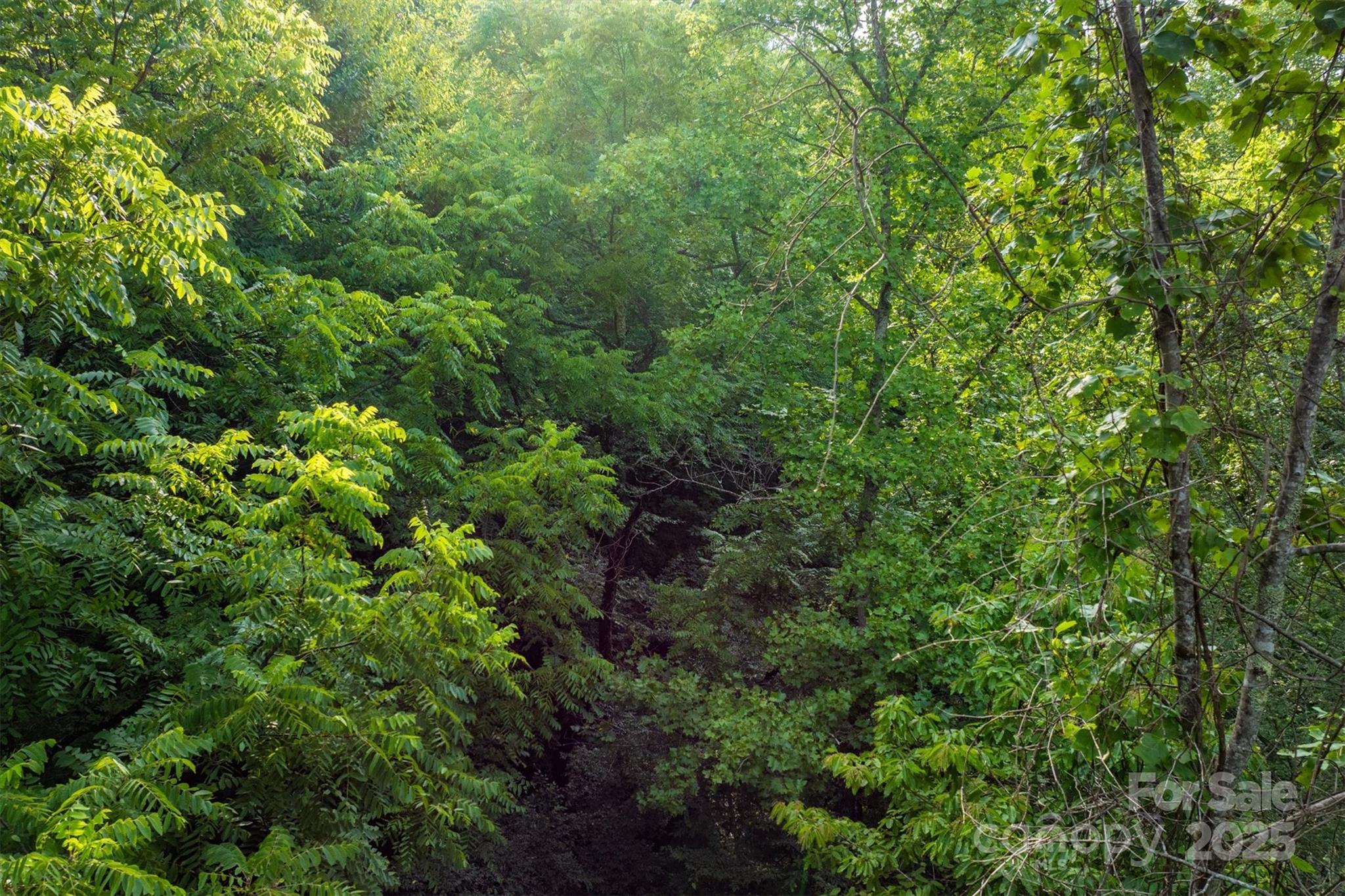 Lot at 5 Round Mountain Parkway, Lenoir, photo 10 of 40