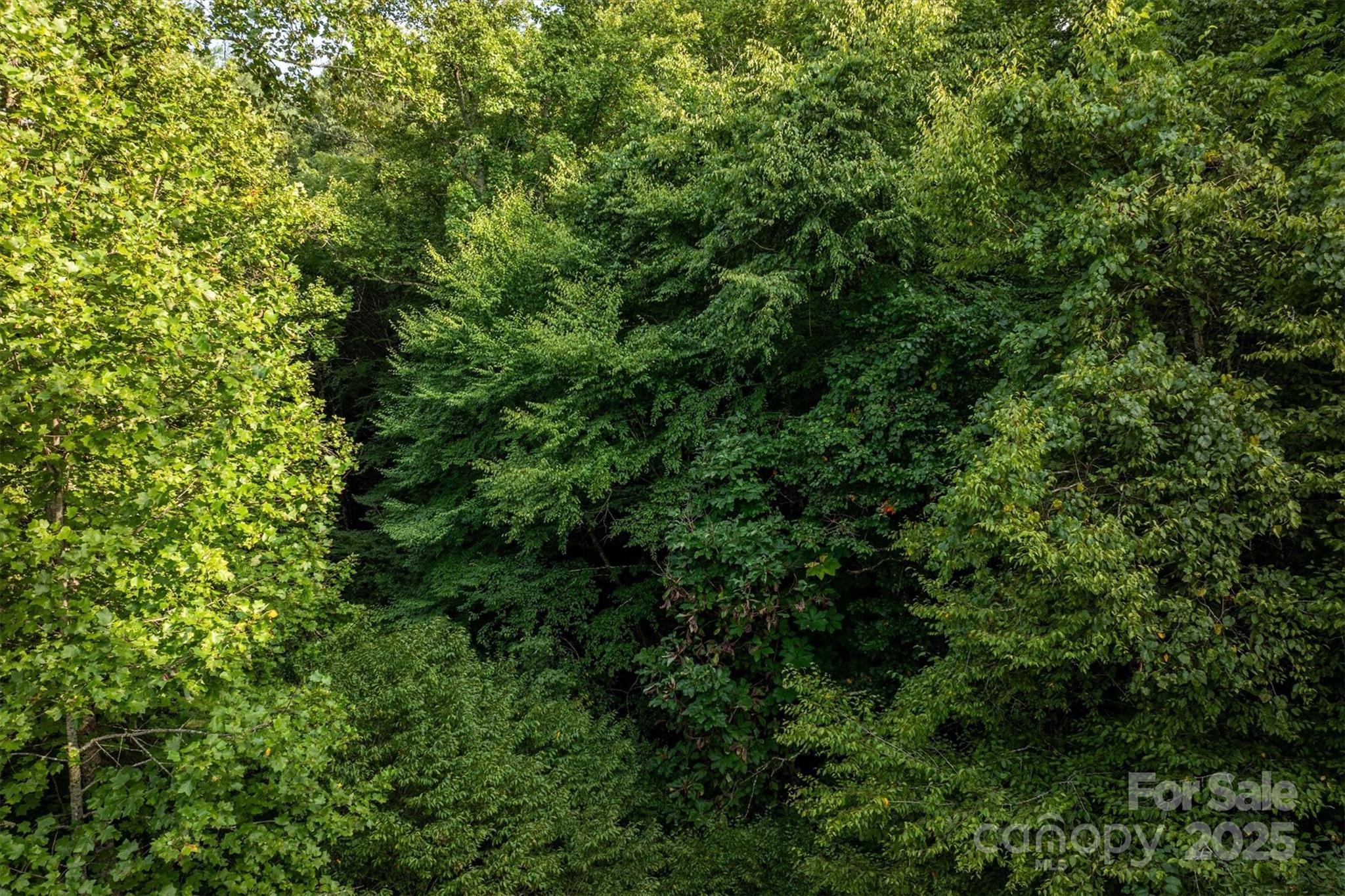 Lot at 5 Round Mountain Parkway, Lenoir, photo 11 of 40