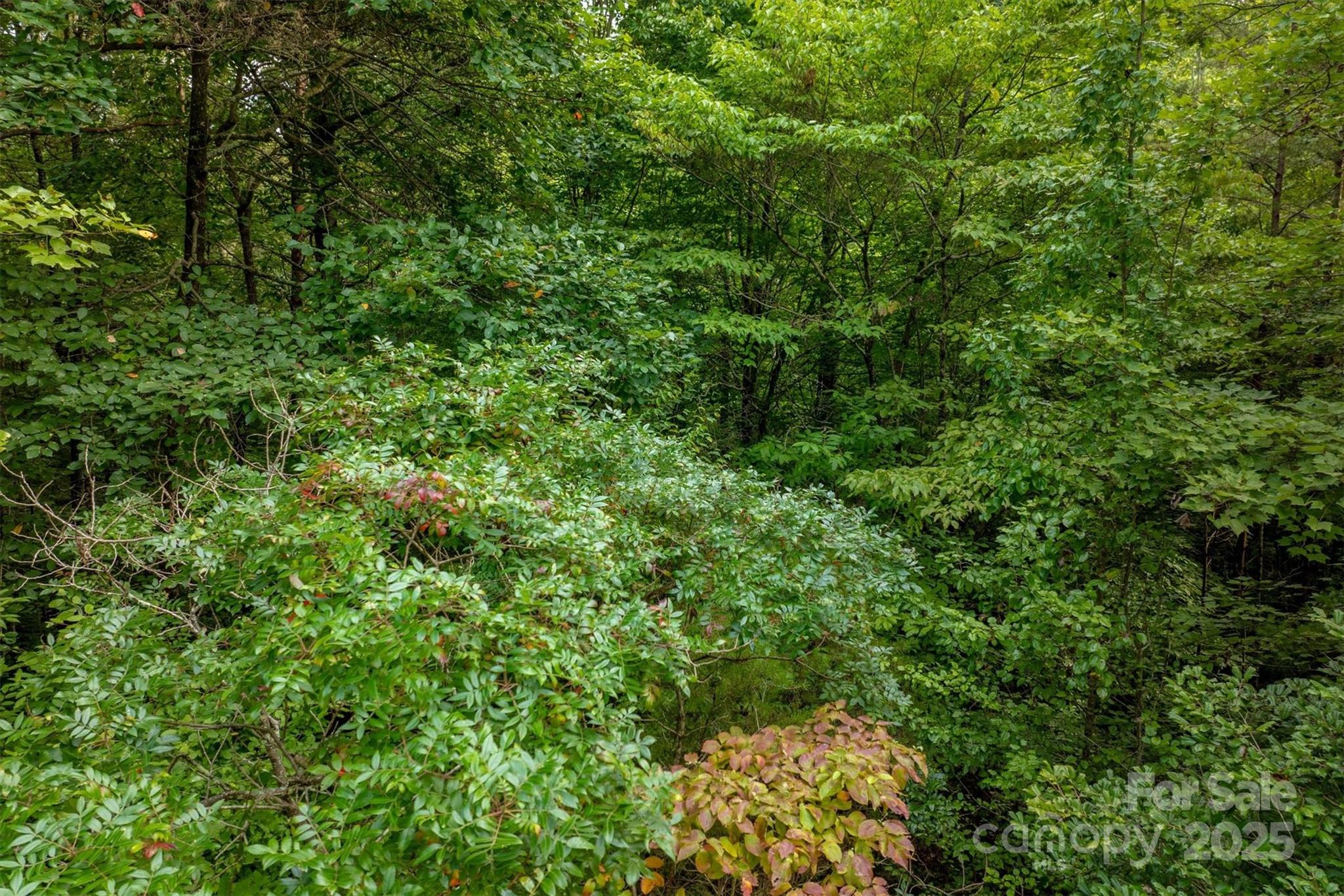 Lot at 5 Round Mountain Parkway, Lenoir, photo 12 of 40