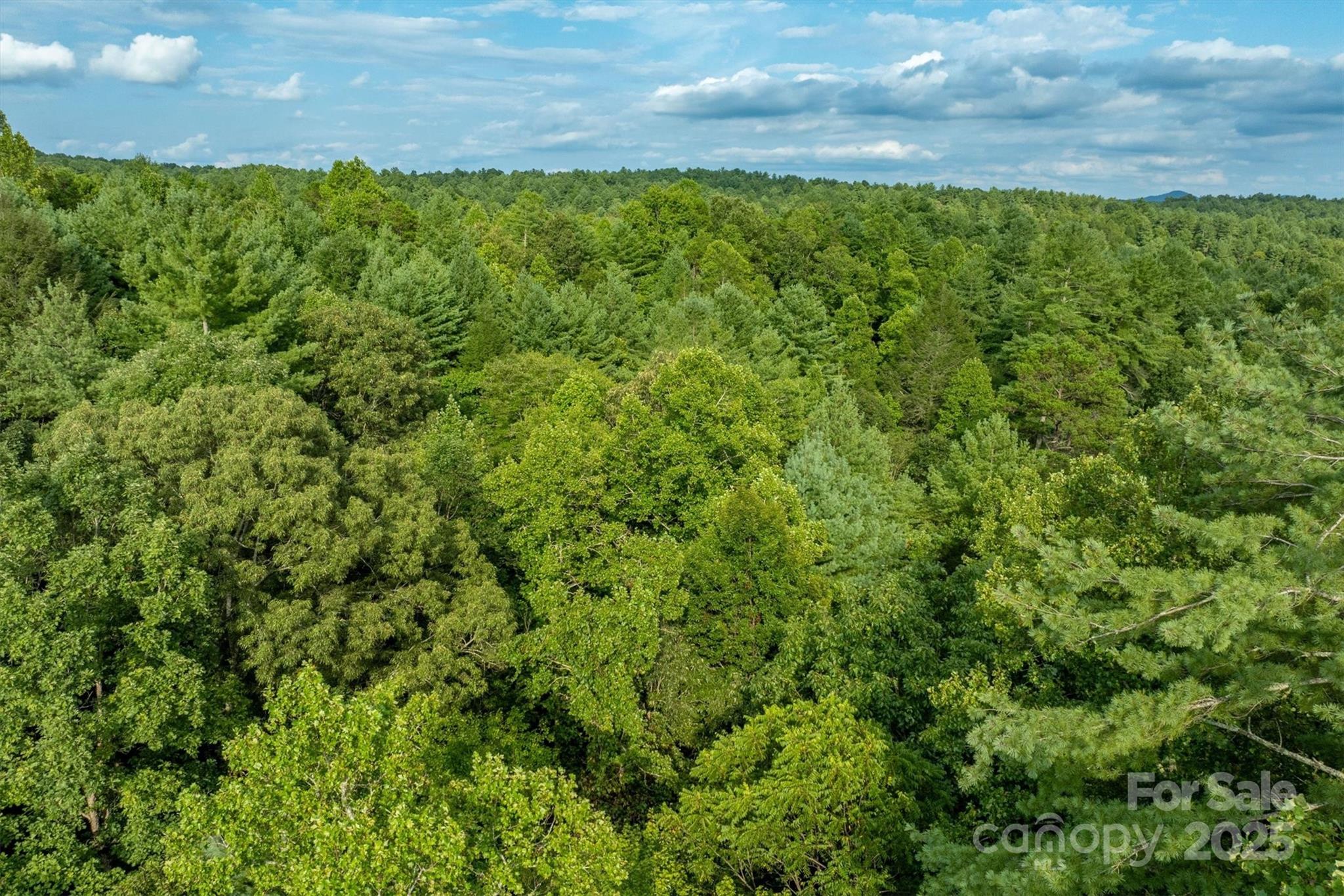 Lot at 5 Round Mountain Parkway, Lenoir, photo 13 of 40