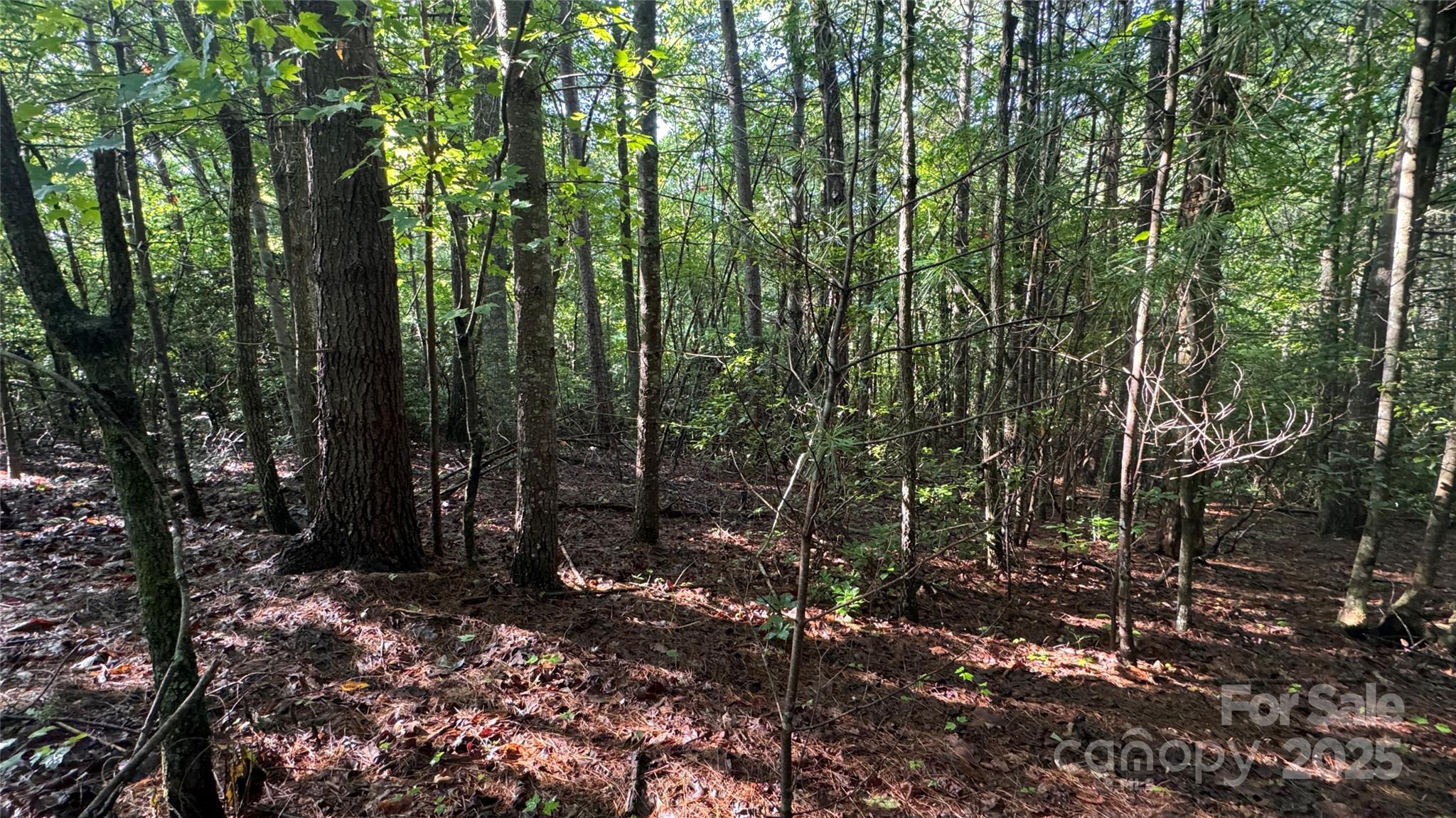 Lot at 5 Round Mountain Parkway, Lenoir, photo 14 of 40
