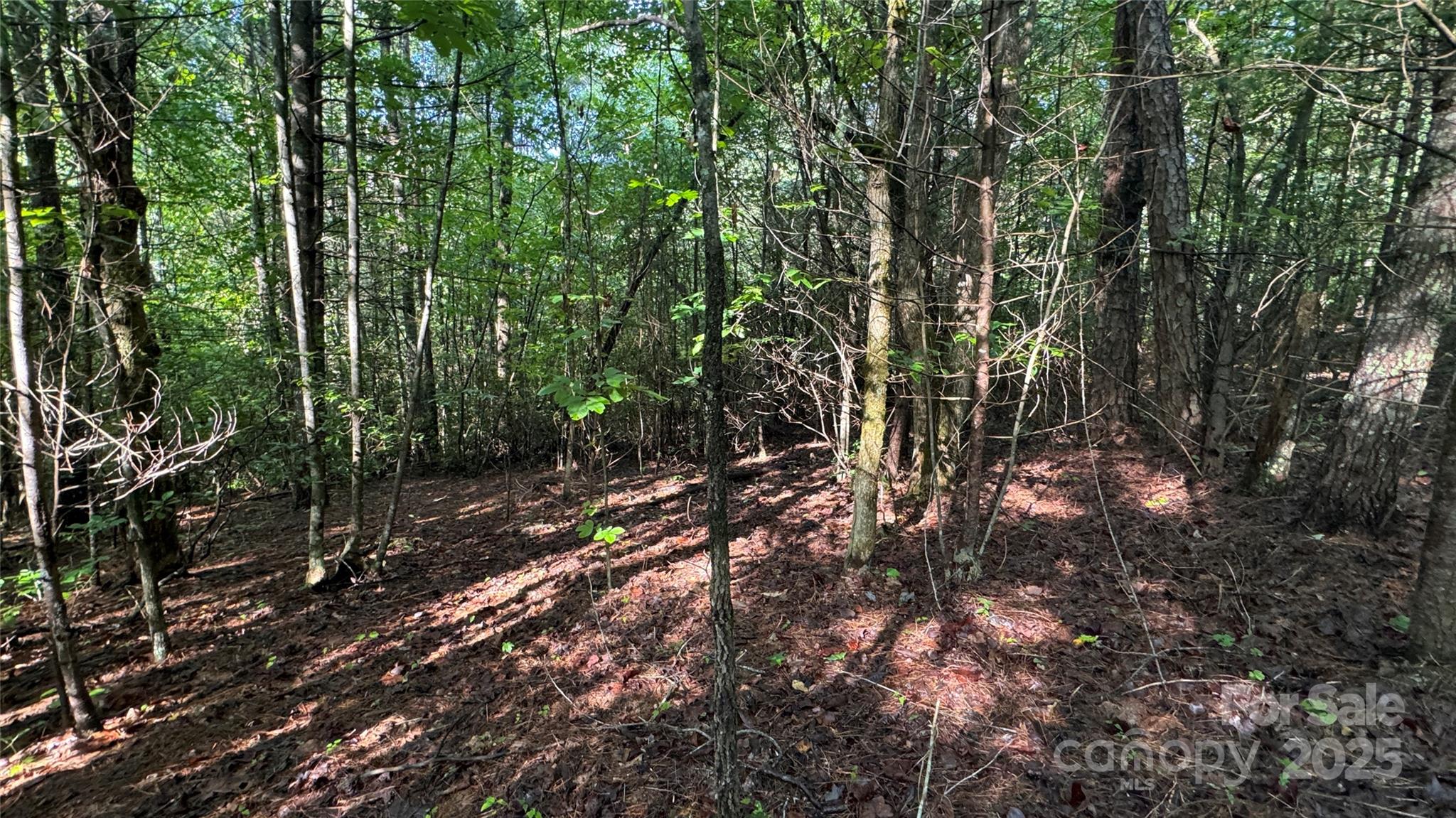 Lot at 5 Round Mountain Parkway, Lenoir, photo 15 of 40