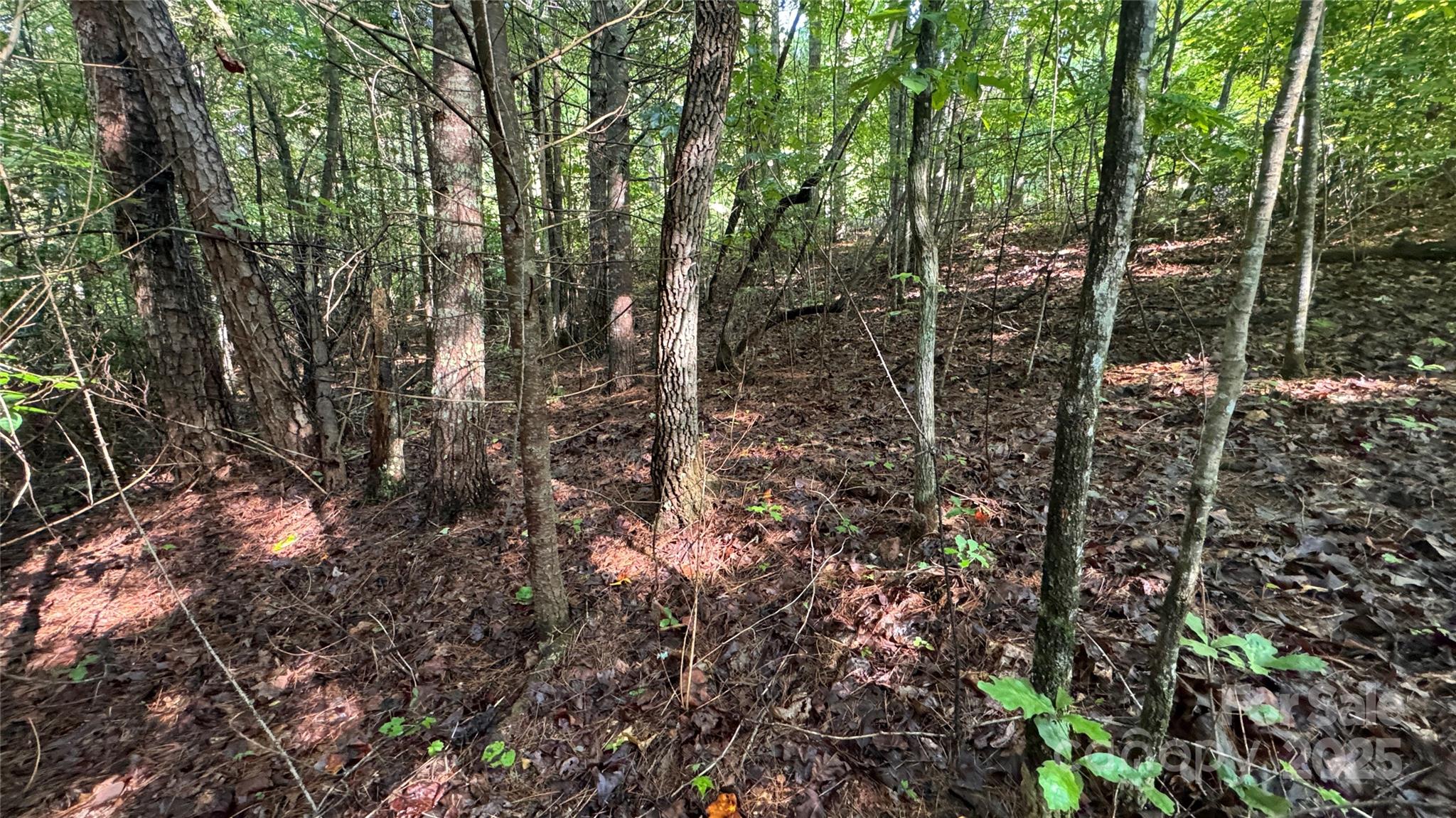 Lot at 5 Round Mountain Parkway, Lenoir, photo 17 of 40