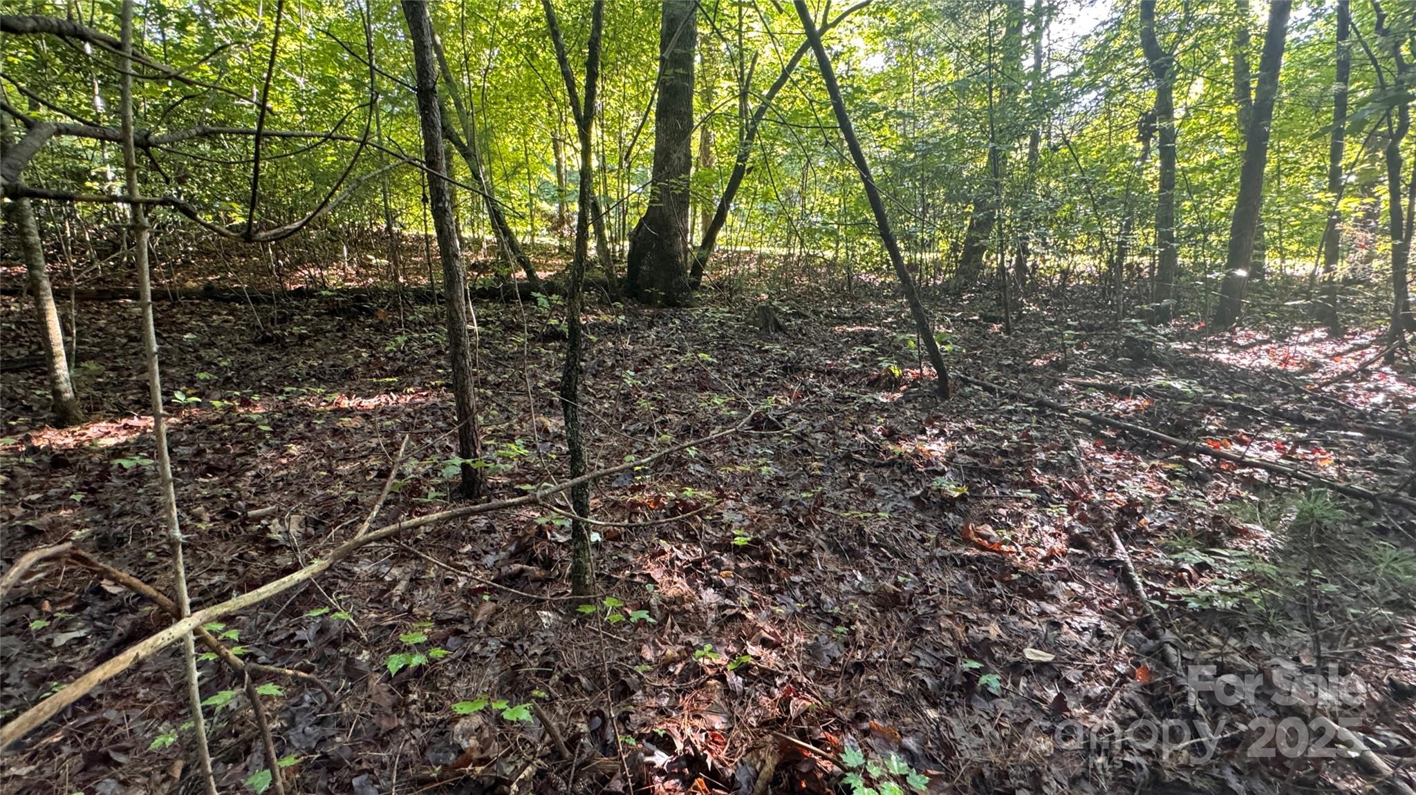 Lot at 5 Round Mountain Parkway, Lenoir, photo 18 of 40