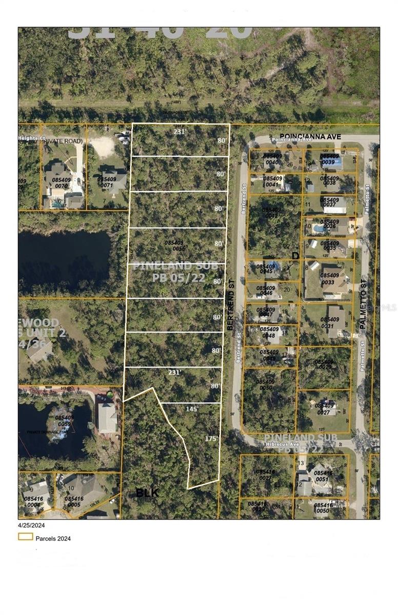 Possible Subdivsion - 9 parcels - 18,480 sq/ft each - BERTREND ST, ENGLEWOOD