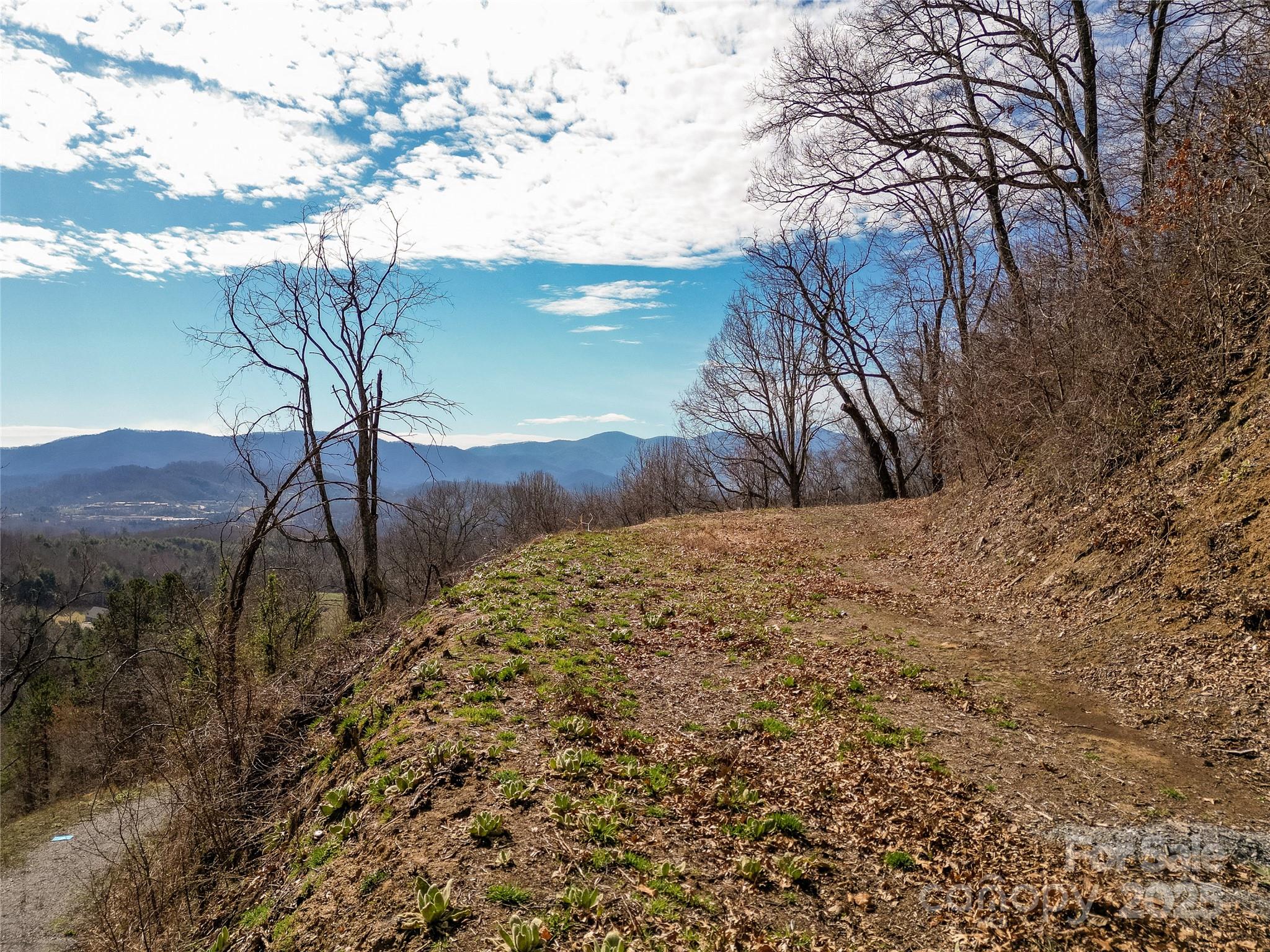 Driveway and proposed build site - 00 Rimesdale Way, Waynesville