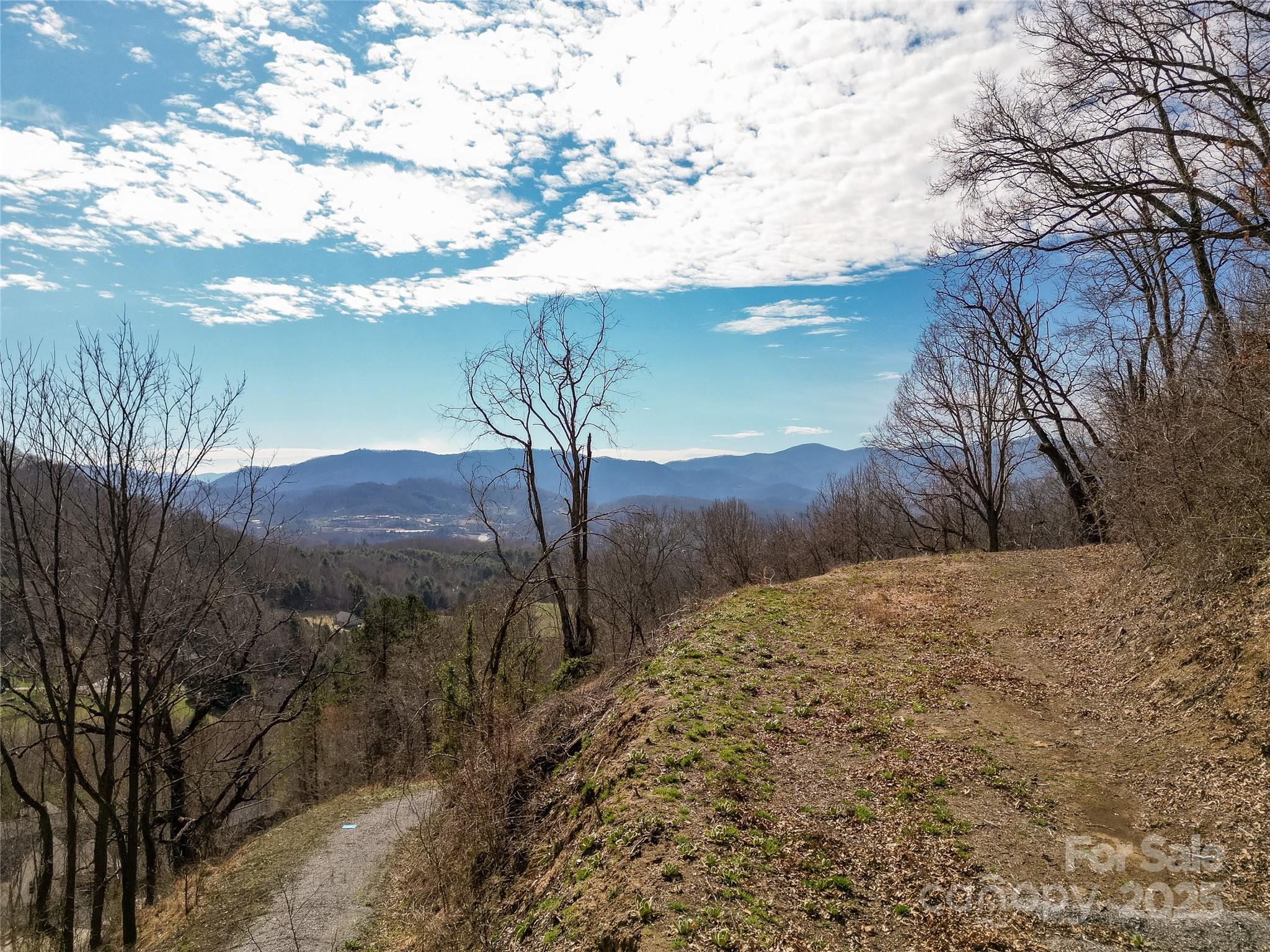 Lot at 00 Rimesdale Way, Waynesville, photo 4 of 22