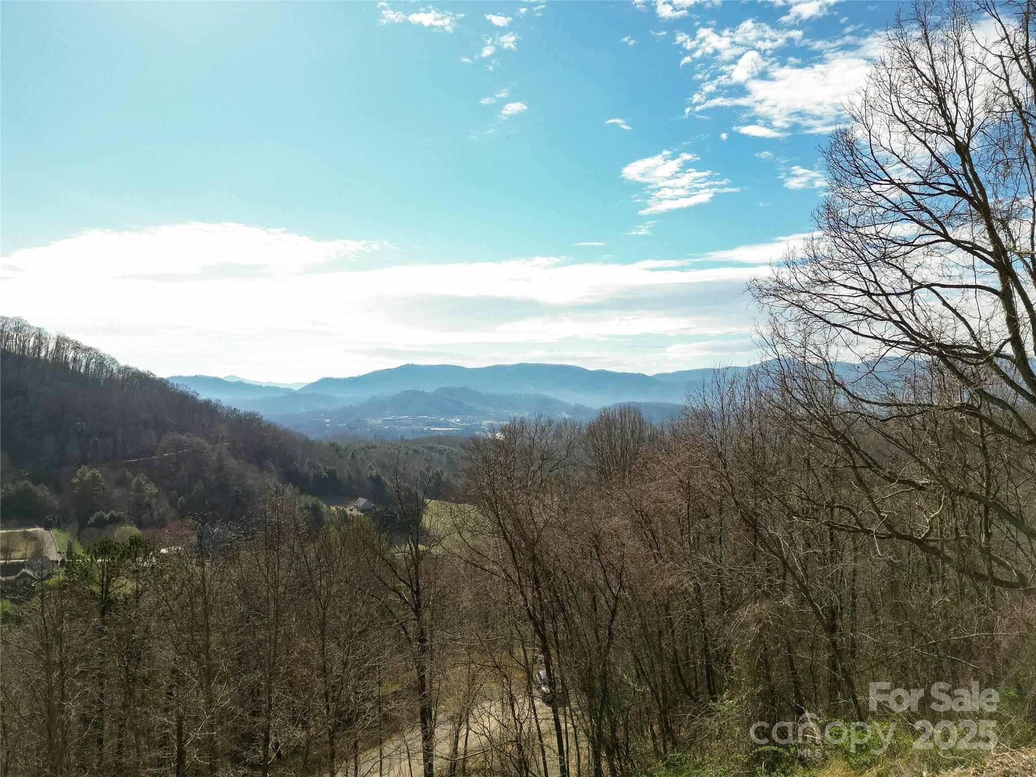 View from proposed build site. - 00 Rimesdale Way, Waynesville