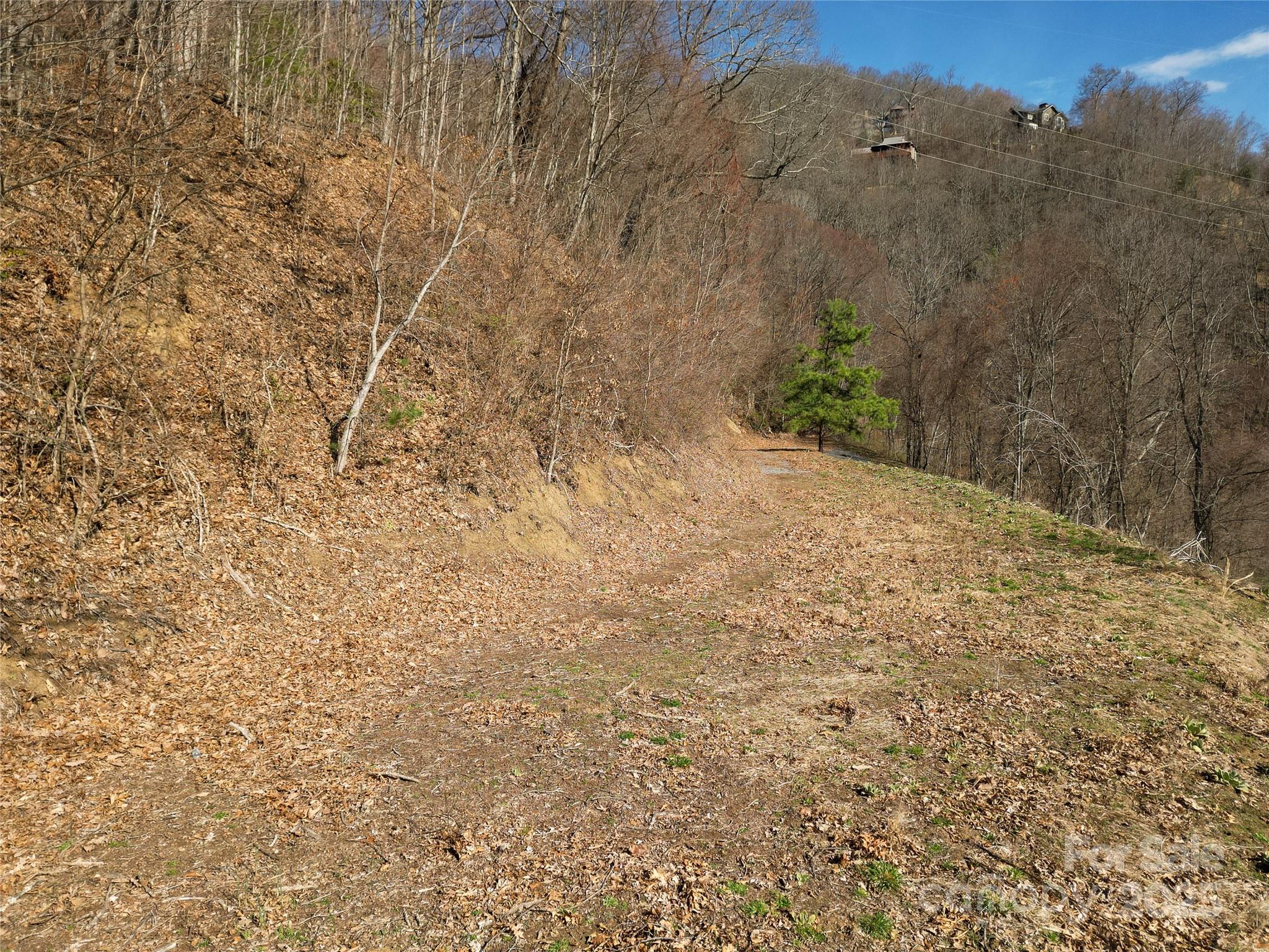 Proposed build site view looking back at driveway entry - 00 Rimesdale Way, Waynesville