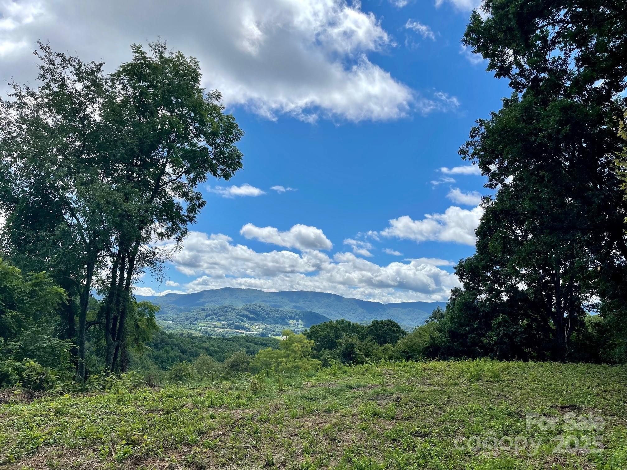 Summer view from proposed build site. - 00 Rimesdale Way, Waynesville