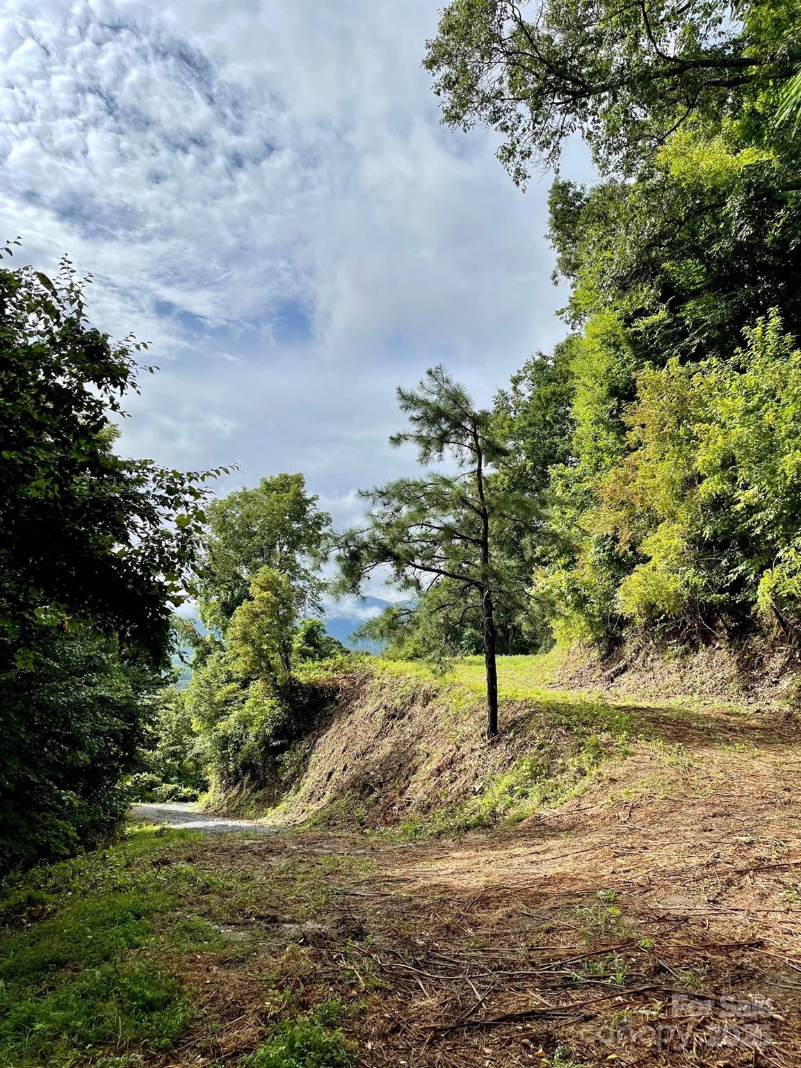Lot at 00 Rimesdale Way, Waynesville, photo 10 of 22