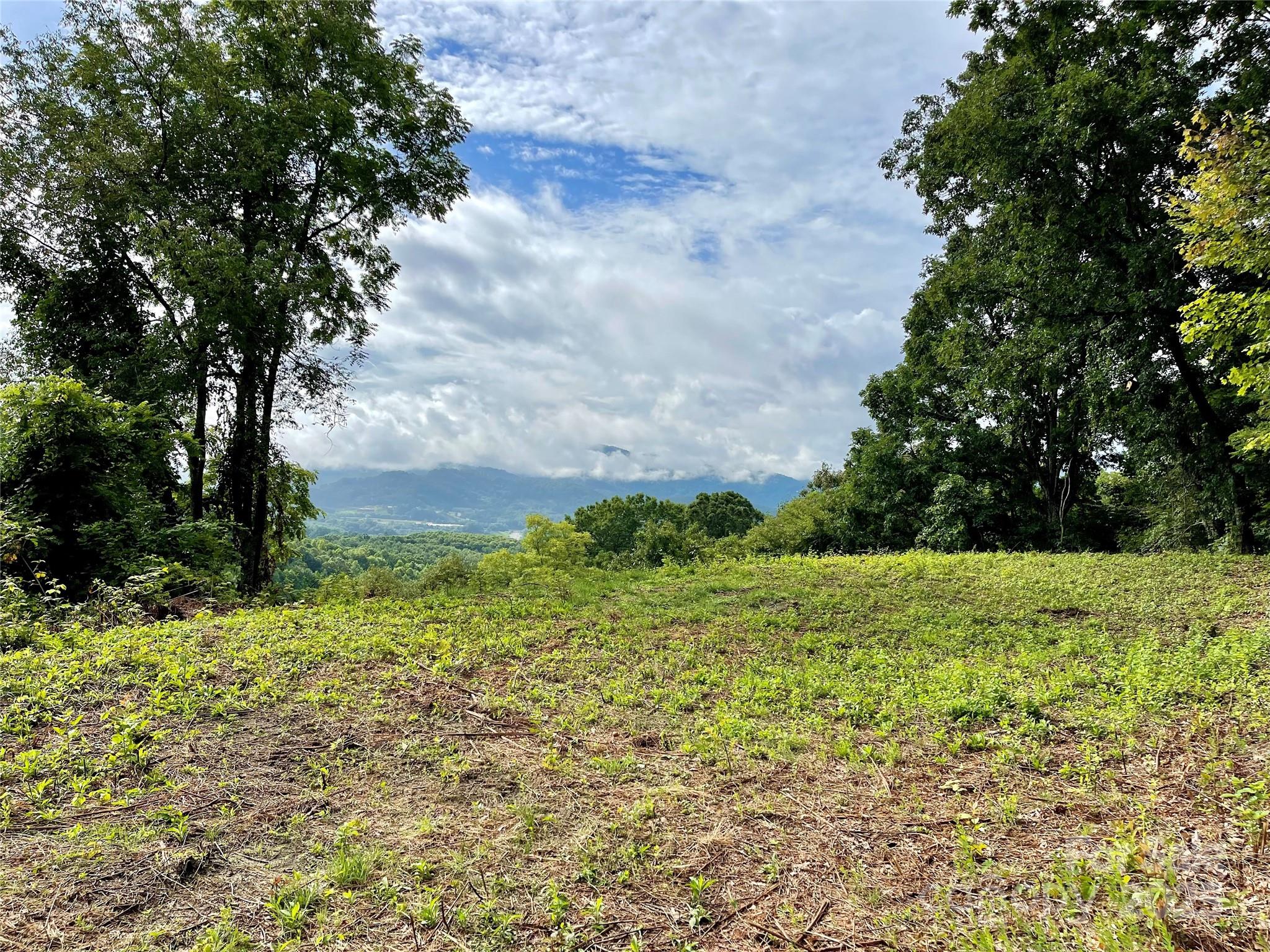 Lot at 00 Rimesdale Way, Waynesville, photo 11 of 22