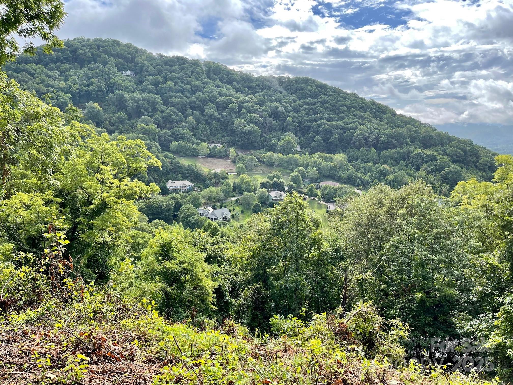 Lot at 00 Rimesdale Way, Waynesville, photo 12 of 22