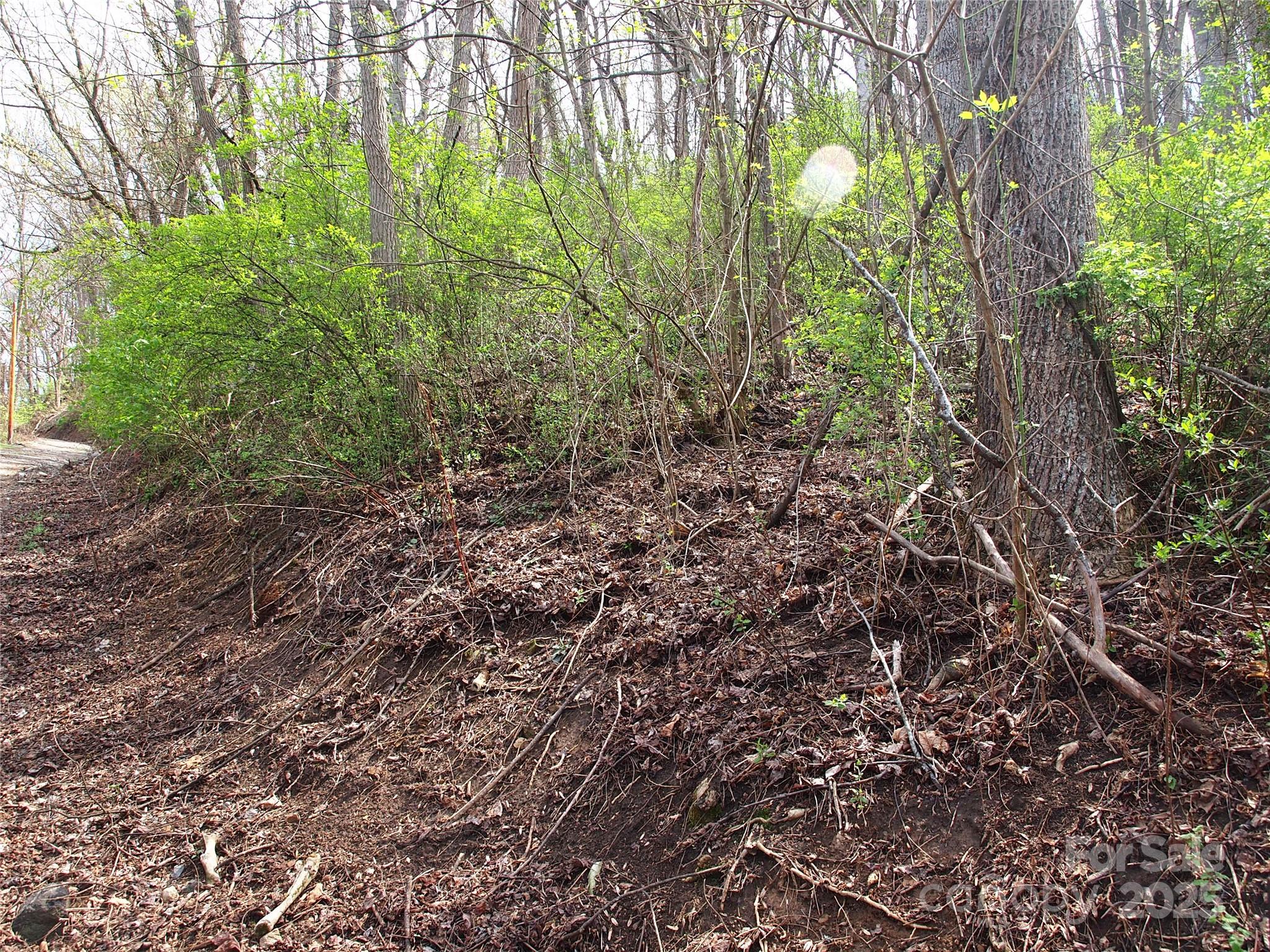 Lot at 00 Bob Wood Drive, Canton, photo 14 of 16