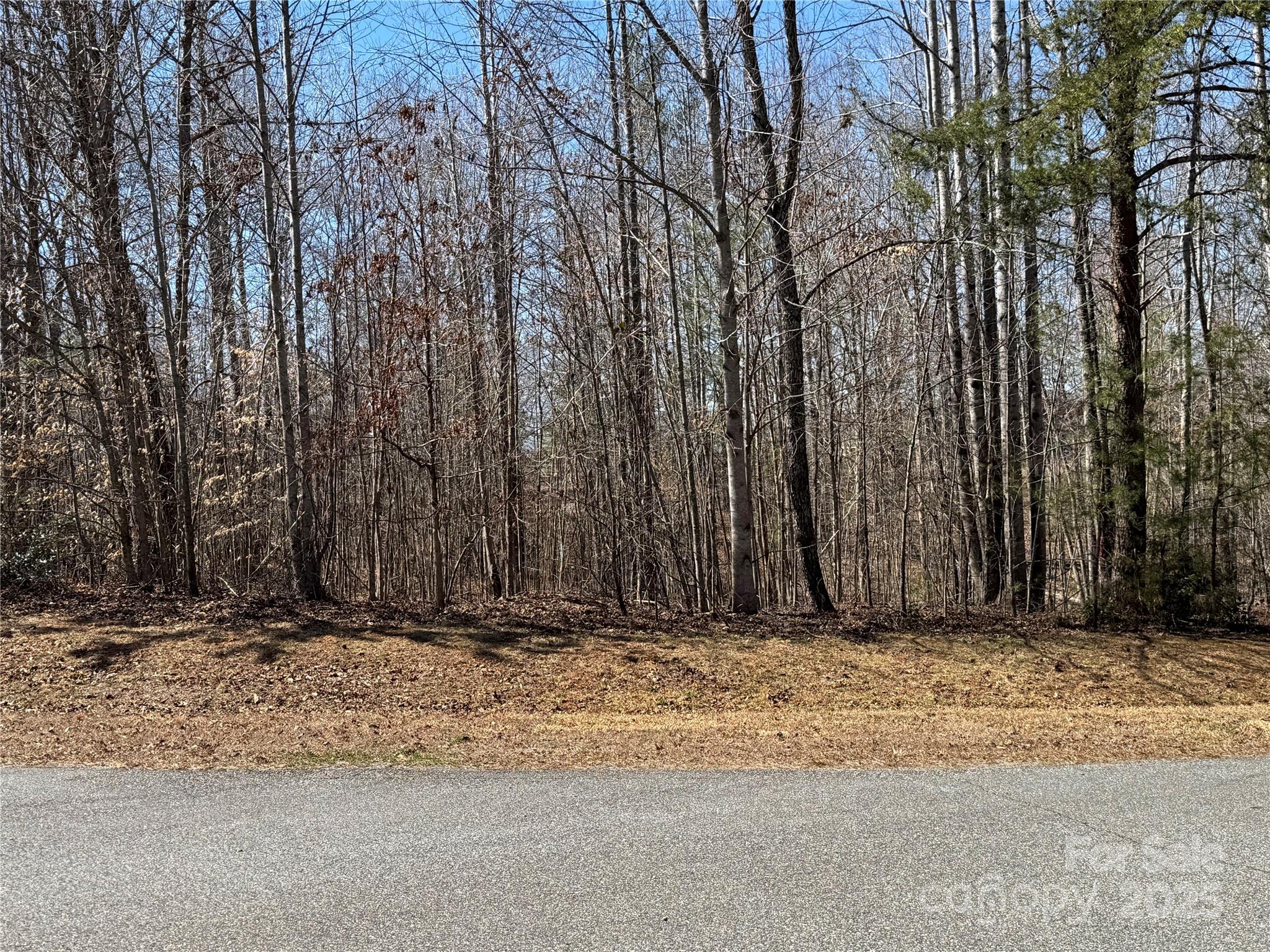 Lot at 00 Shady Bark Lane, Rutherfordton, photo 7 of 10