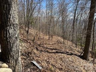 Lot at 28 Angel Road, Waynesville, photo 4 of 7