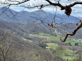 Lot at 28 Angel Road, Waynesville, photo 5 of 7