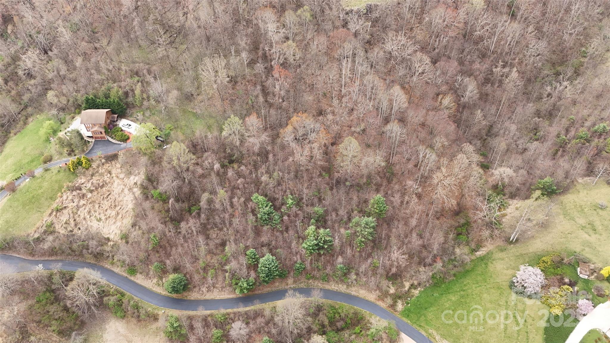 Lot at 380 Serenity Mountain Lane, Mars Hill, photo 3 of 9