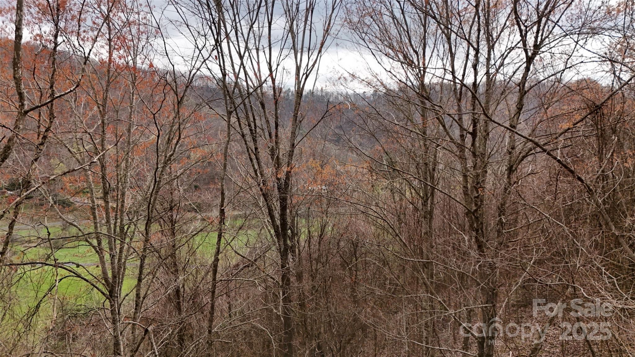 Lot faces generally East - 380 Serenity Mountain Lane, Mars Hill
