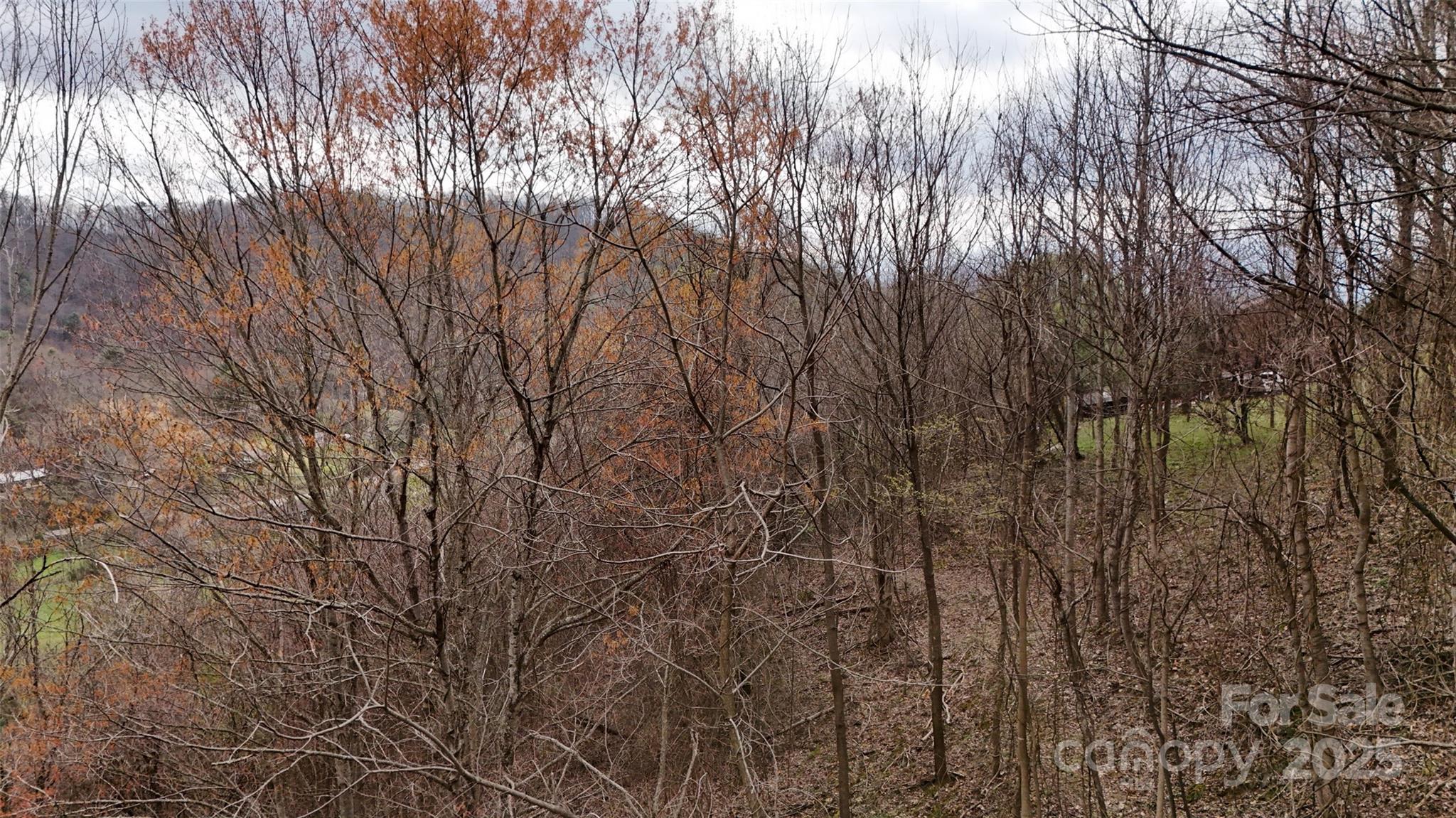 Long range views generally south west. - 380 Serenity Mountain Lane, Mars Hill