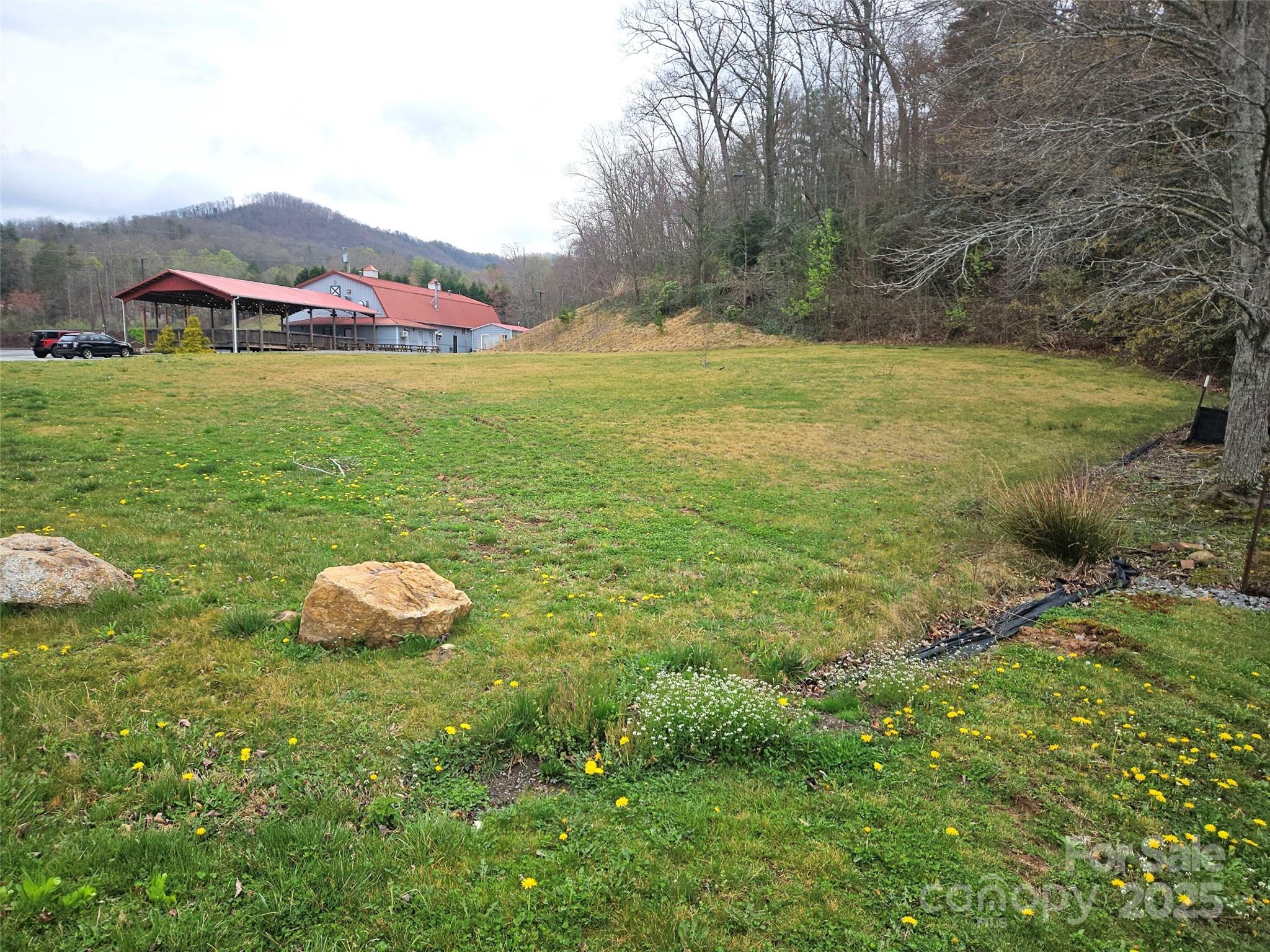 Unimproved Commercial at 701 NC 9 Highway, Black Mountain, photo 3 of 6
