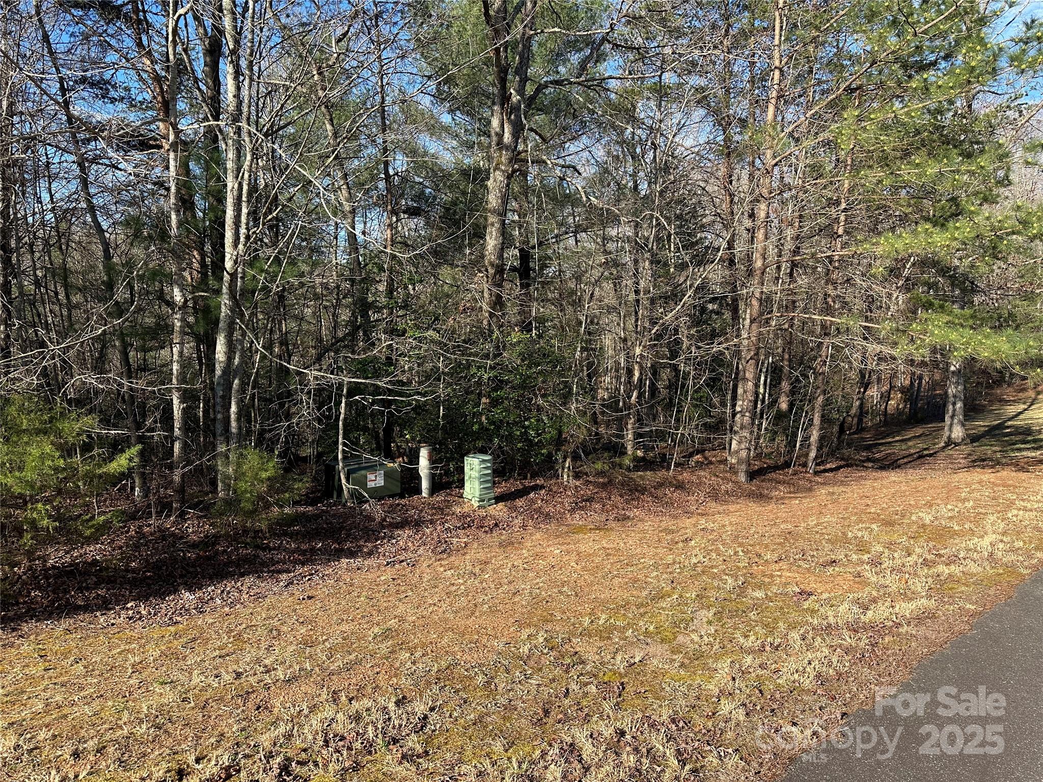 Lot at 00 Goose Creek Drive, Taylorsville, photo 5 of 21