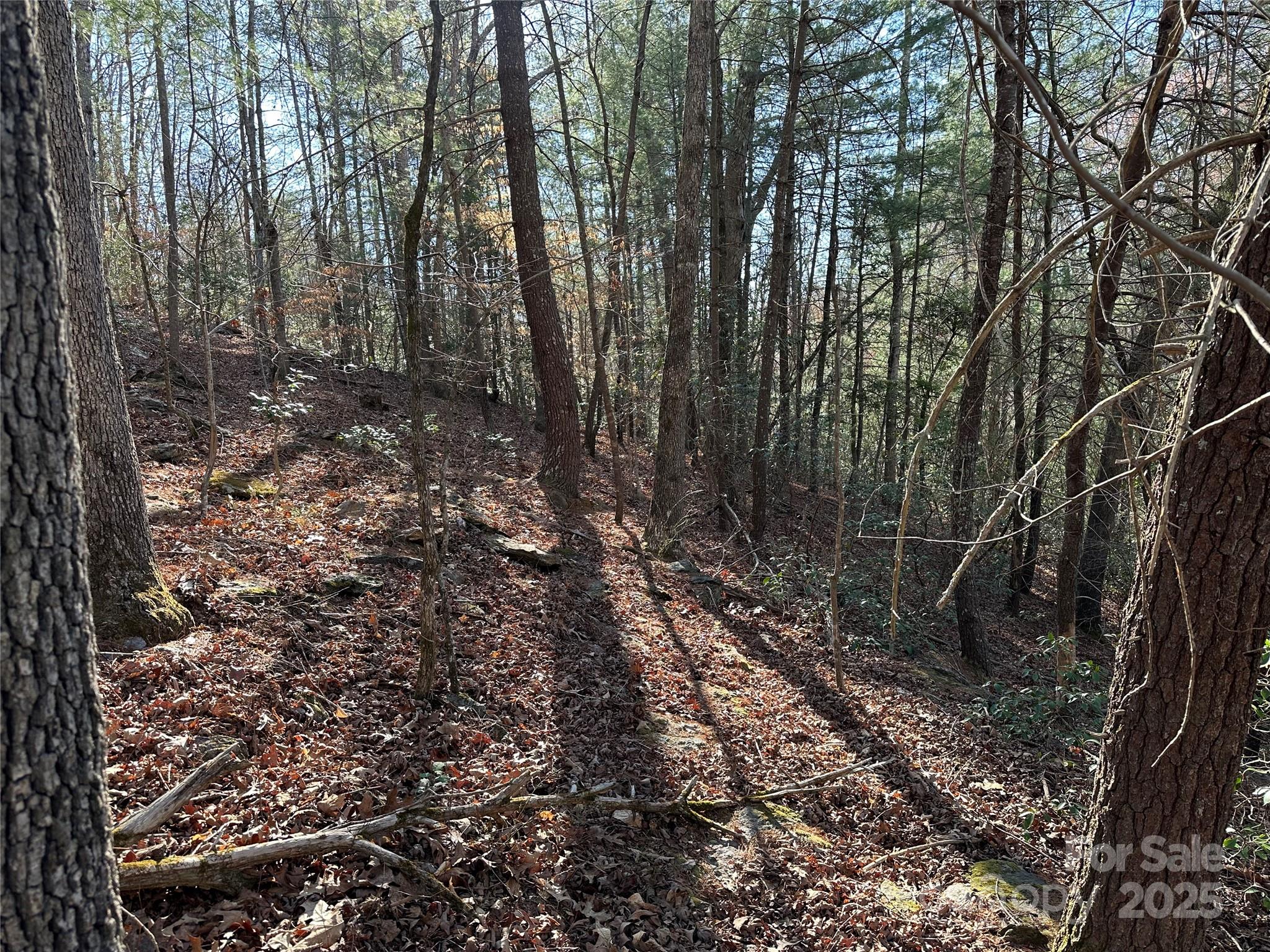 Lot at 00 Goose Creek Drive, Taylorsville, photo 10 of 21