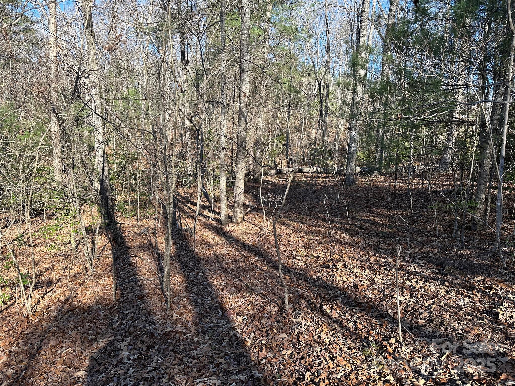 Lot at 00 Goose Creek Drive, Taylorsville, photo 11 of 21