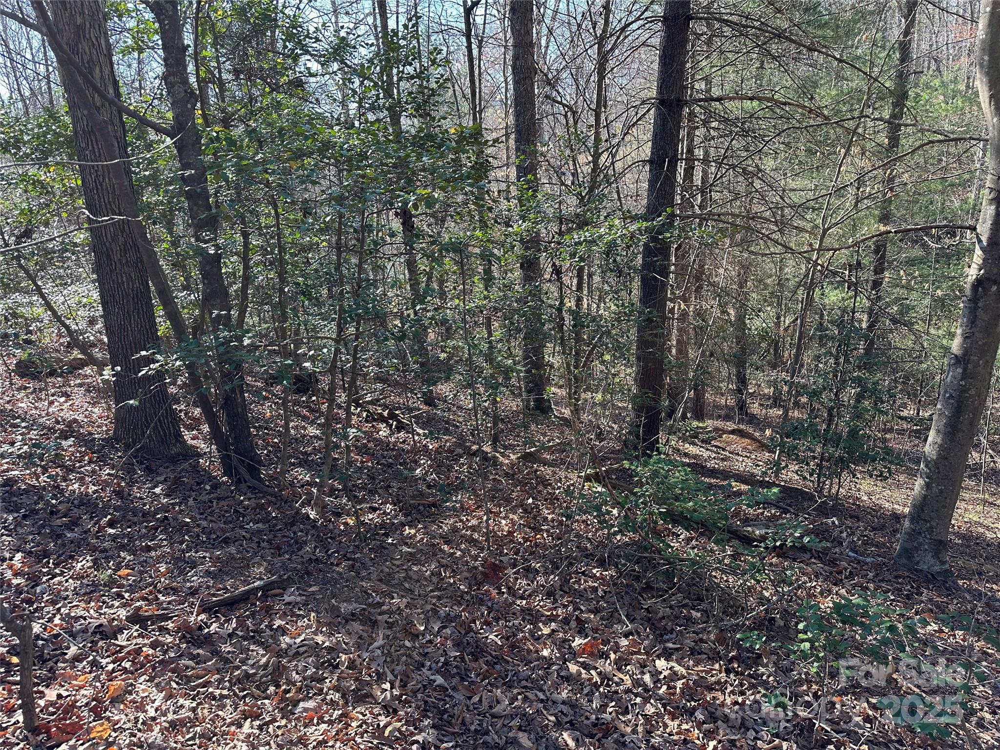 Lot at 00 Goose Creek Drive, Taylorsville, photo 12 of 21