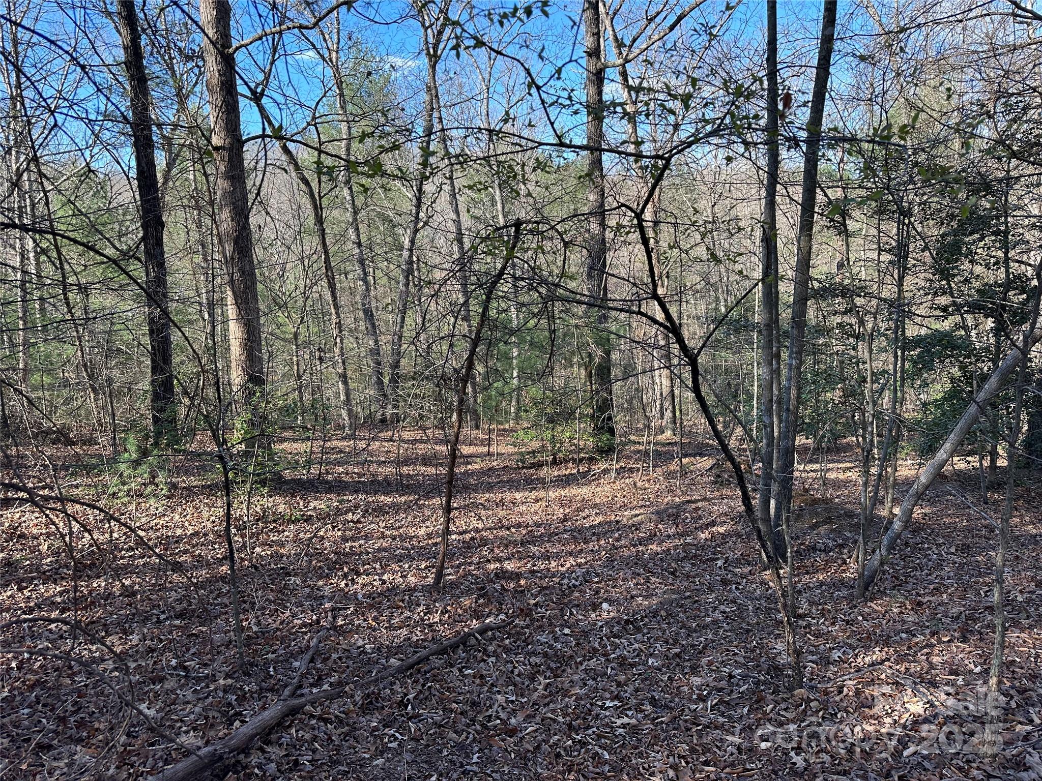 Lot at 00 Goose Creek Drive, Taylorsville, photo 18 of 21