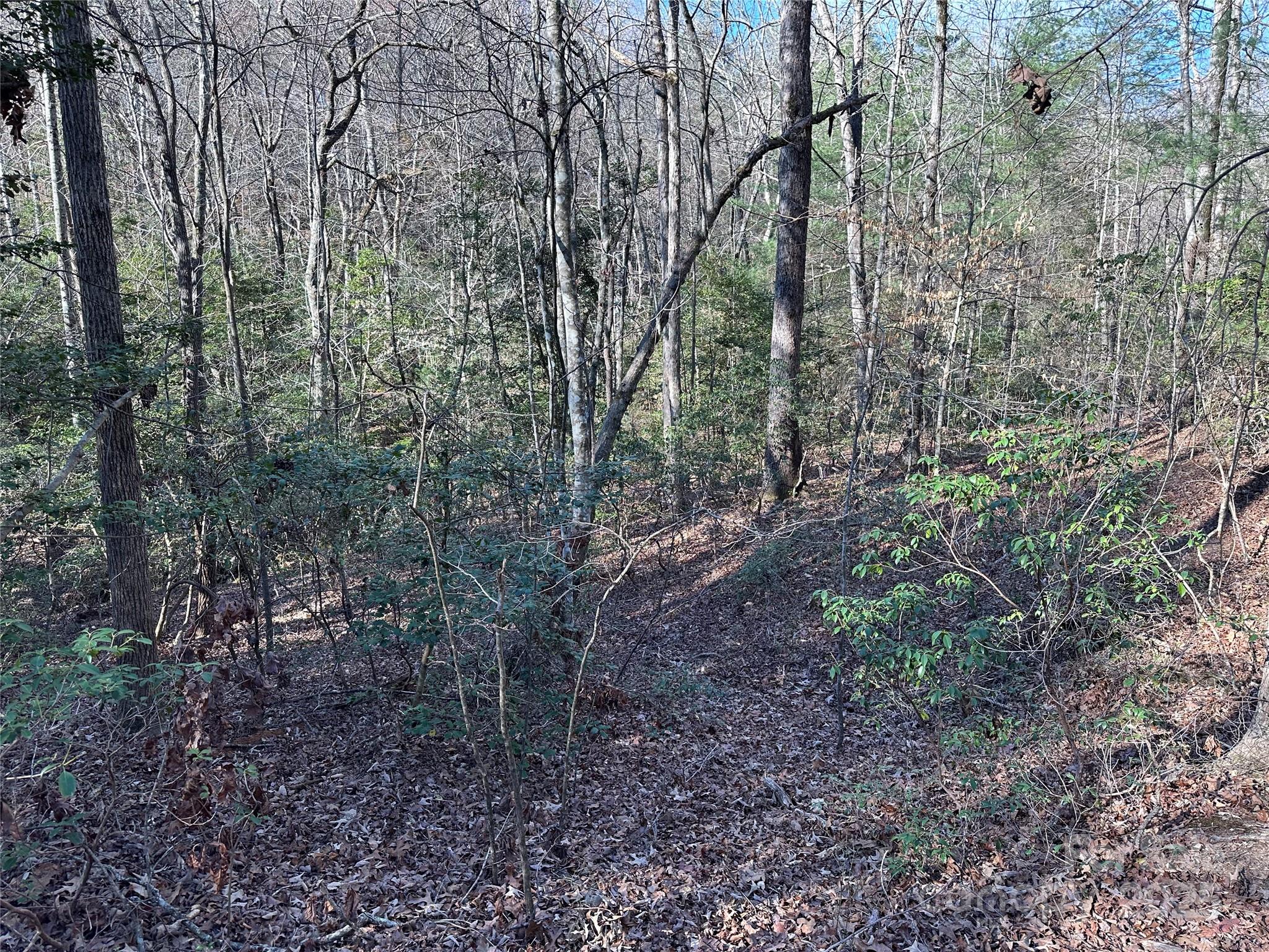 Lot at 00 Goose Creek Drive, Taylorsville, photo 20 of 21