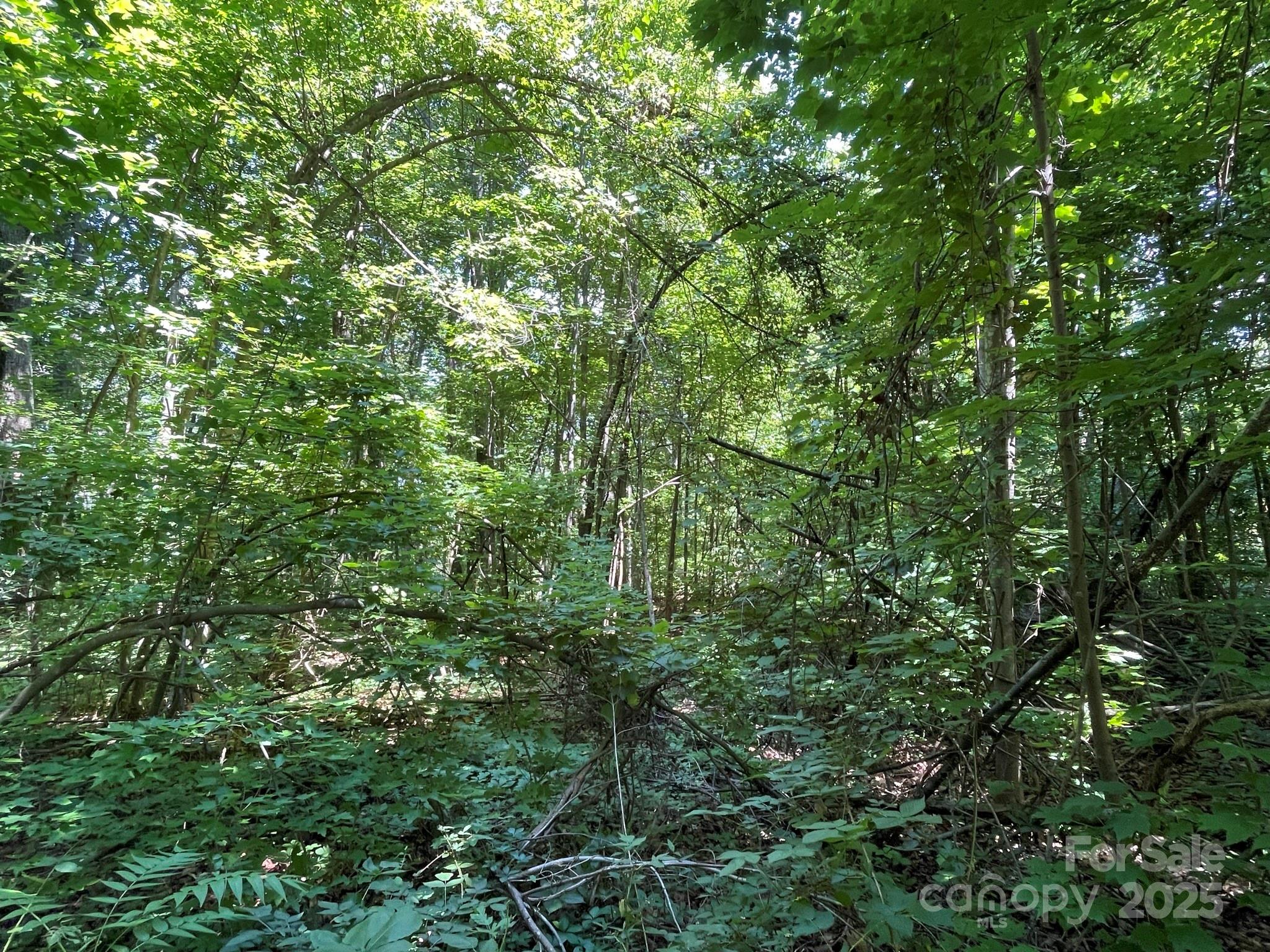 Lot at 3287 Stones Throw Drive, Valdese, photo 6 of 6