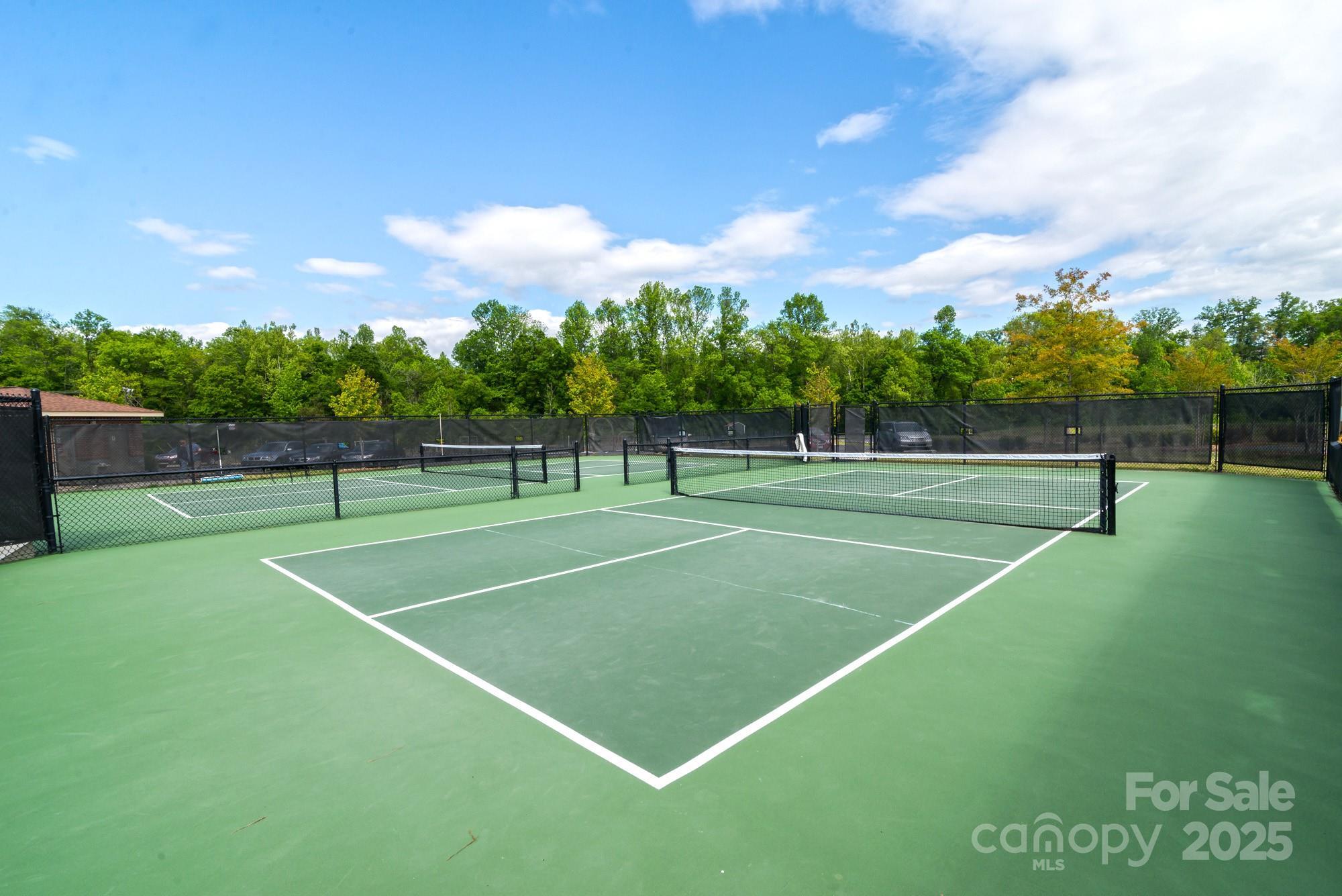 Pickleball Court - 5011 Broad Lane, Fort Mill