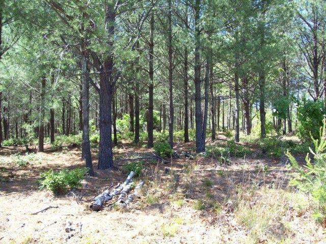 Lot at 1552 Bear Cliff Drive, Nebo, photo 2 of 3