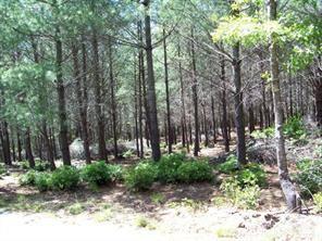 Upper Lot - 1552 Bear Cliff Drive, Nebo